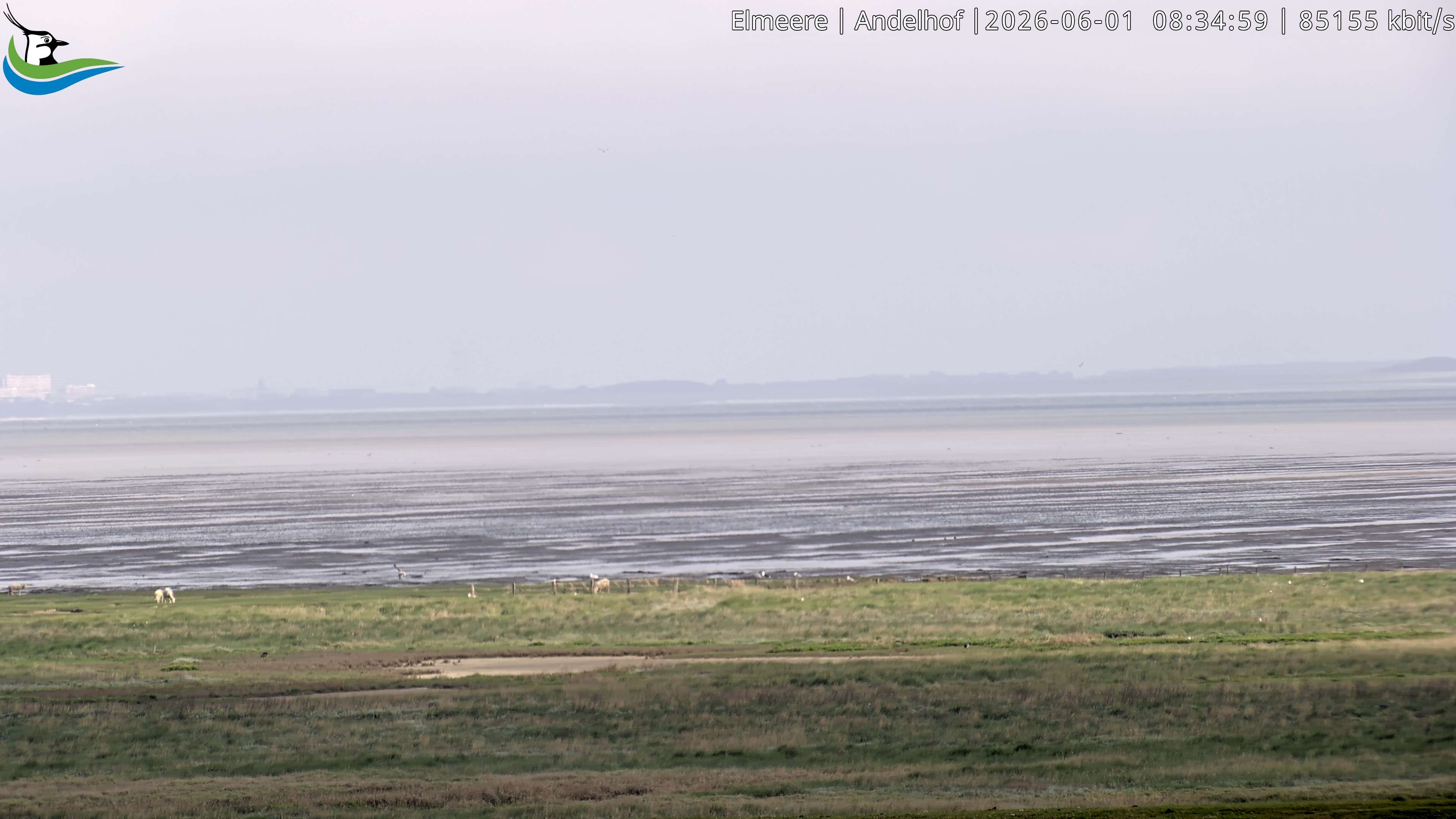 Archived image Webcam Midlum - Hotel Andelhof II