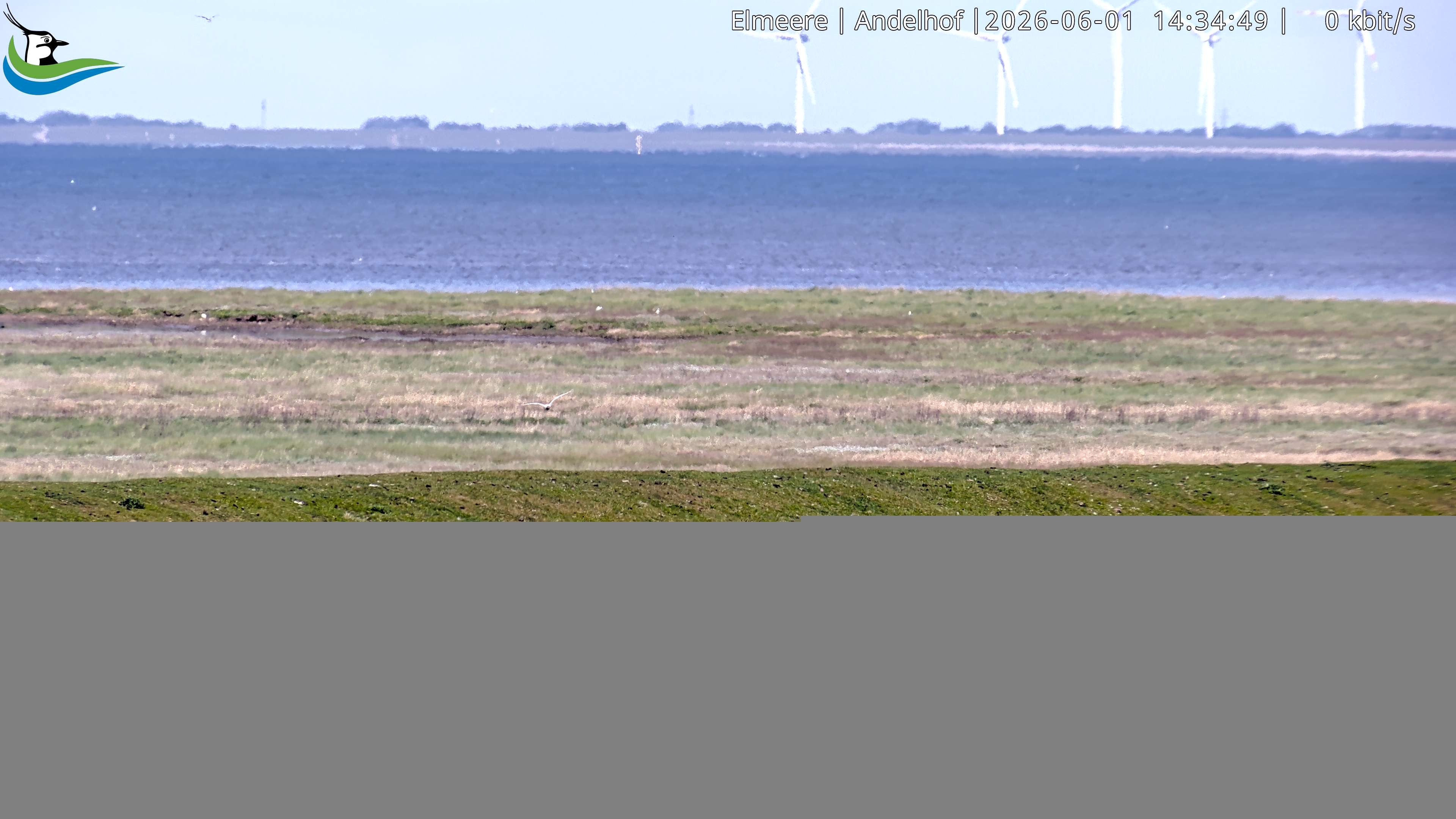 Archived image Webcam Midlum - Hotel Andelhof II