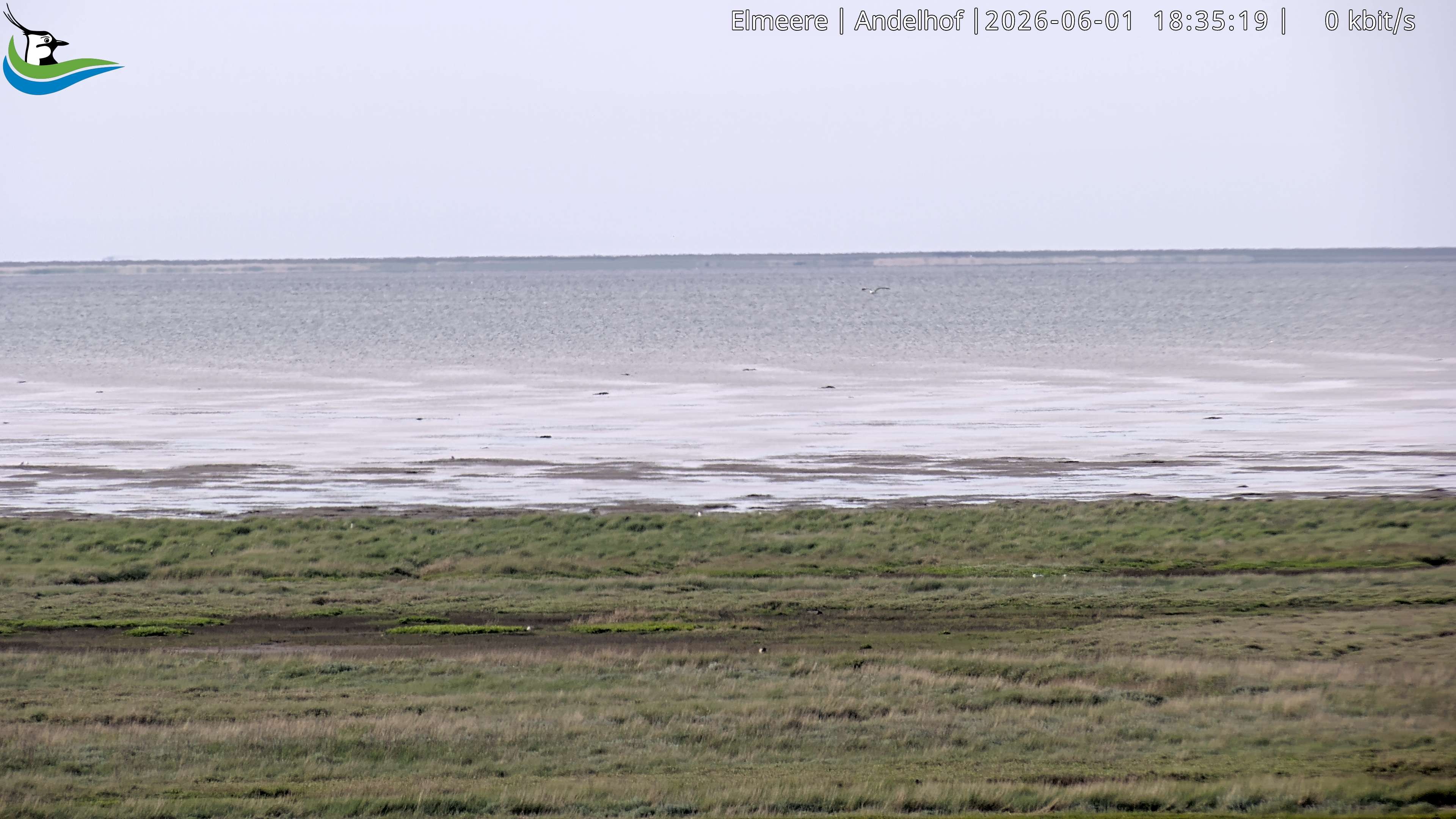 Archived image Webcam Midlum - Hotel Andelhof II