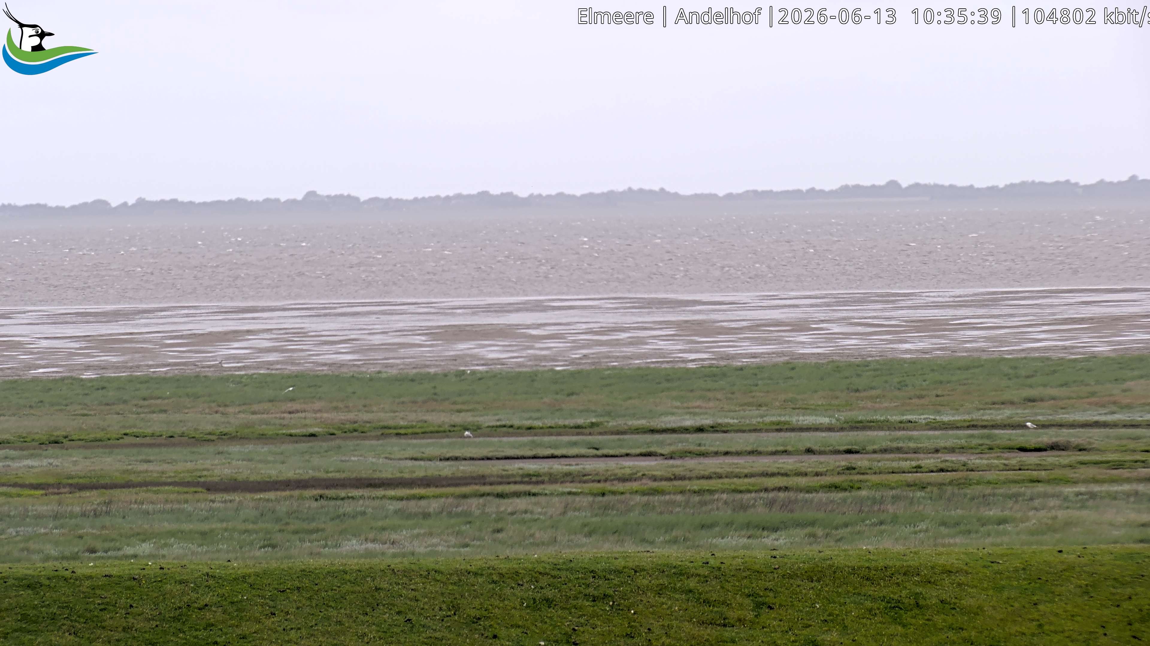 Archiv Foto Webcam Midlum - Andelhof II