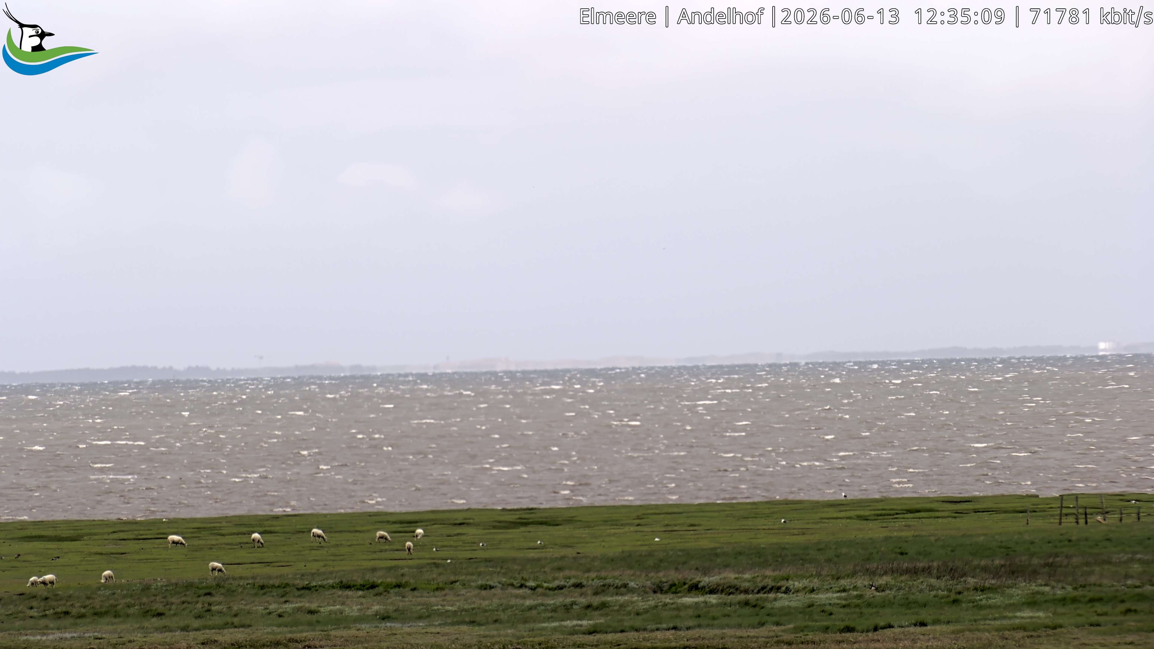 Archiv Foto Webcam Midlum - Andelhof II