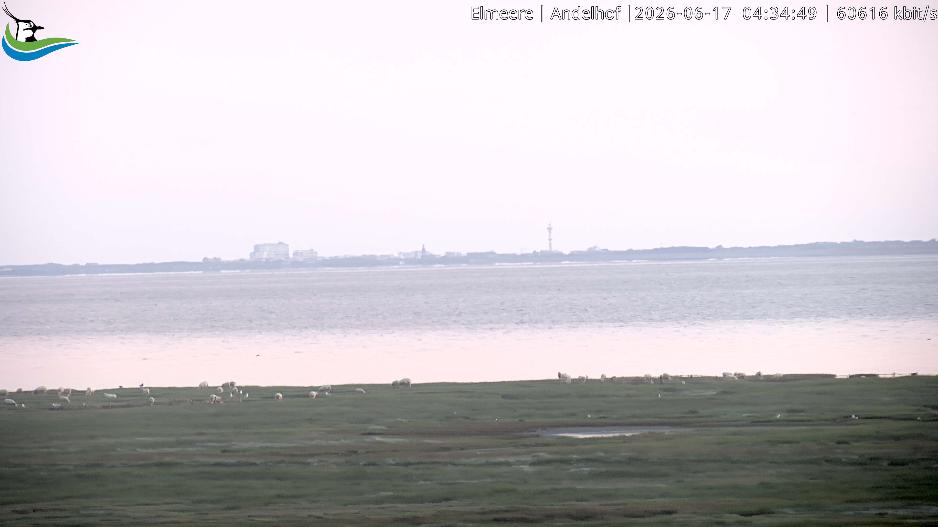 Archived image Webcam Midlum - Hotel Andelhof II