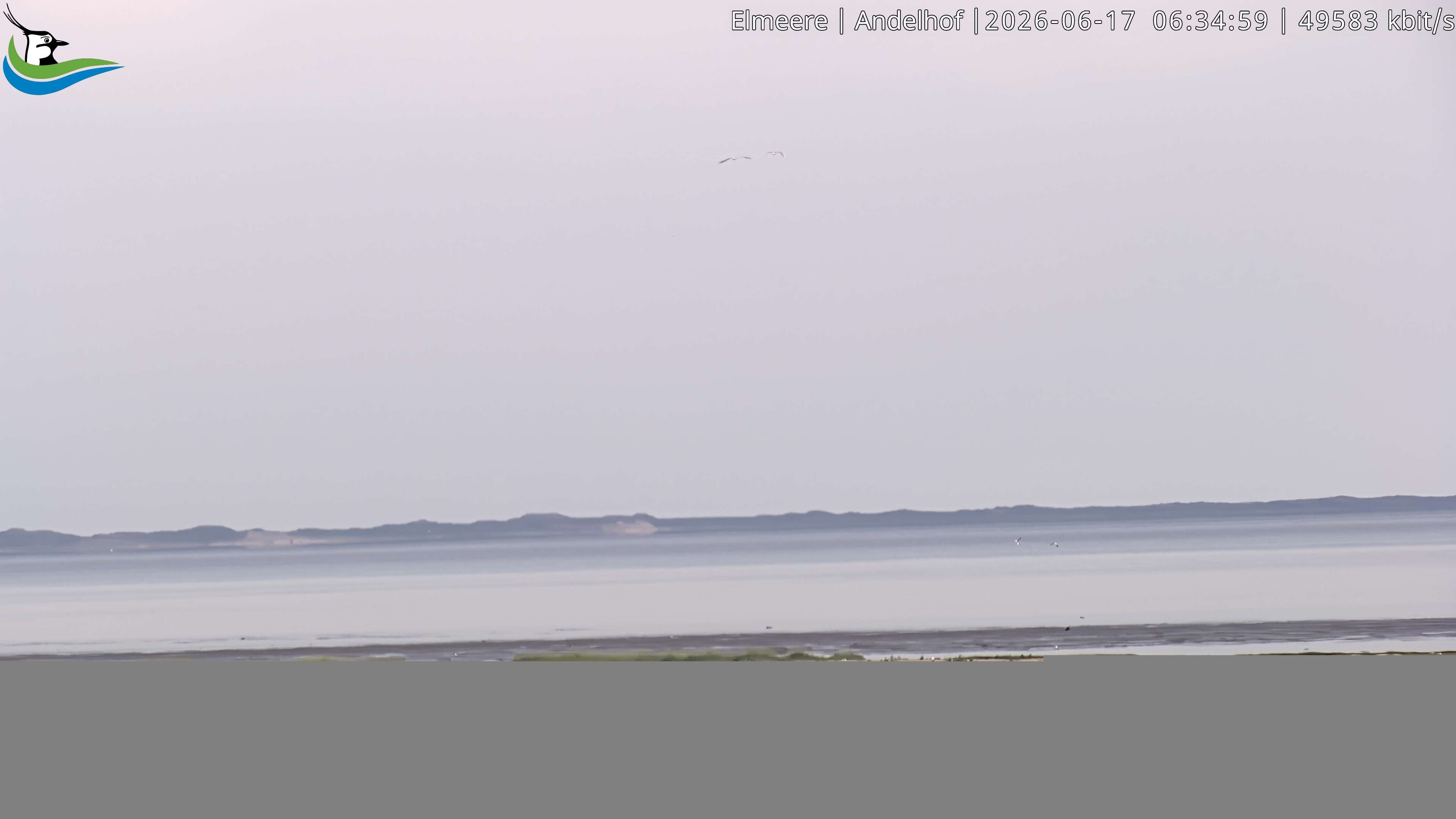 Archived image Webcam Midlum - Hotel Andelhof II