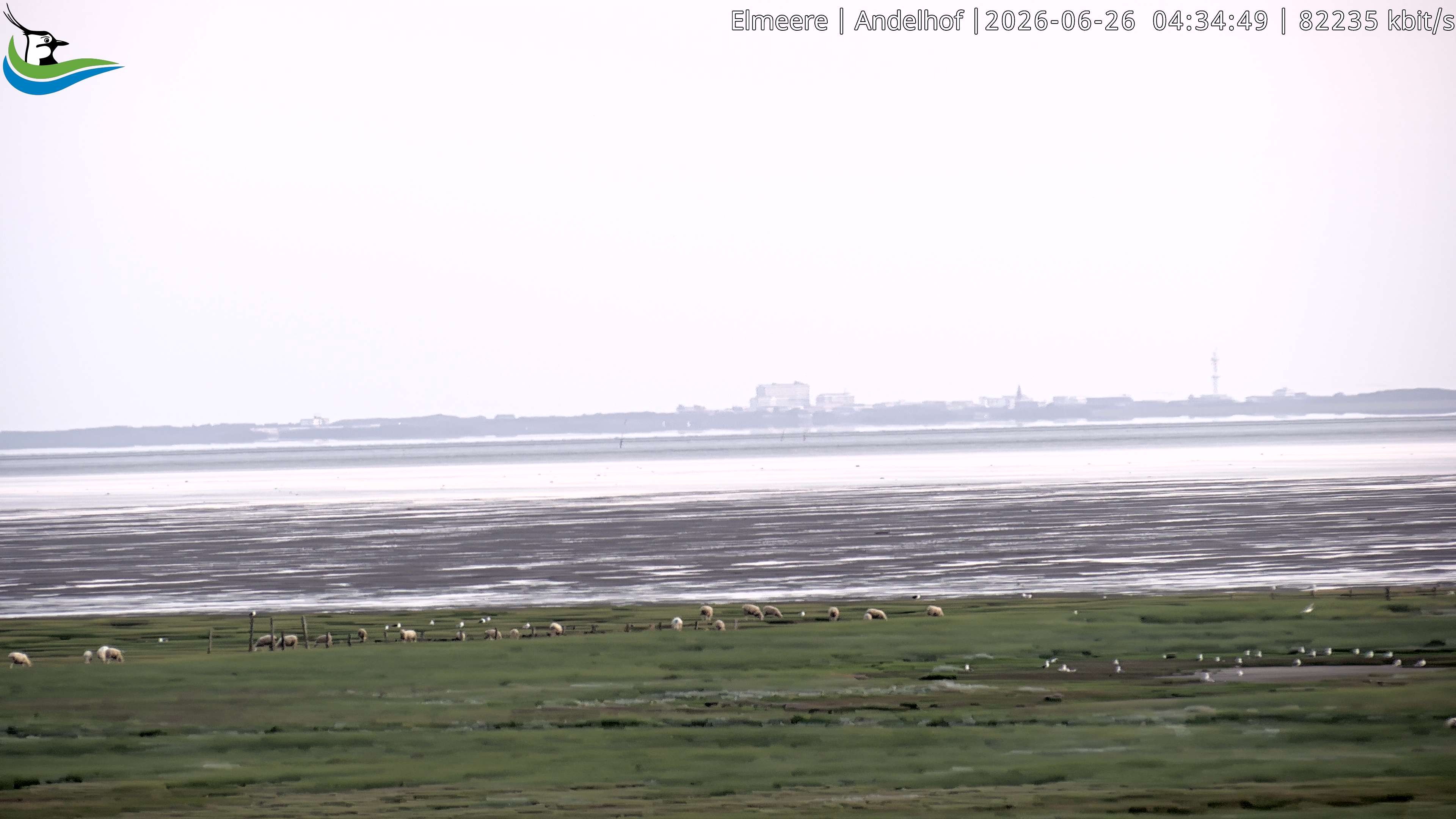 Archiv Foto Webcam Midlum - Andelhof II