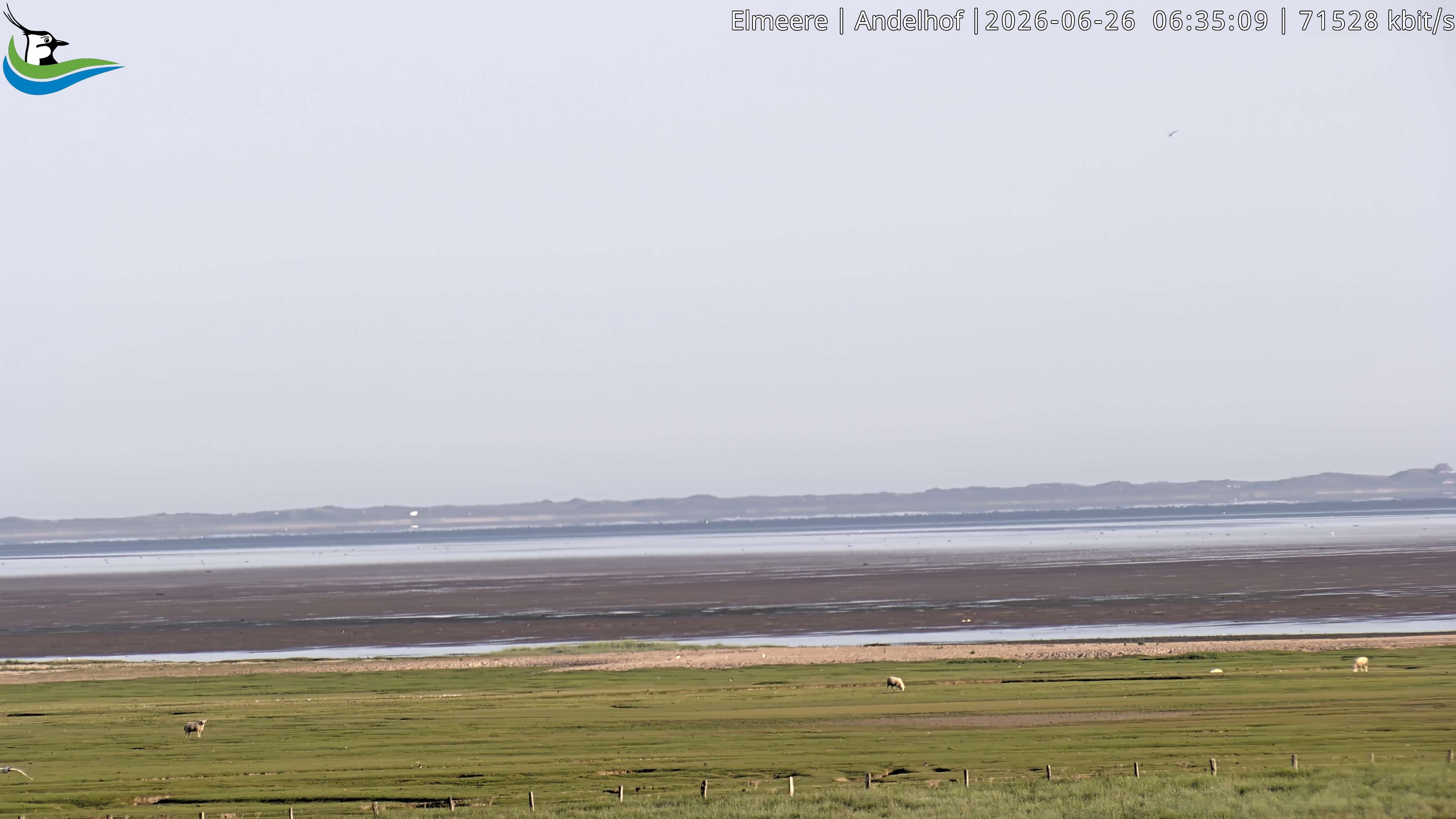 Archiv Foto Webcam Midlum - Andelhof II