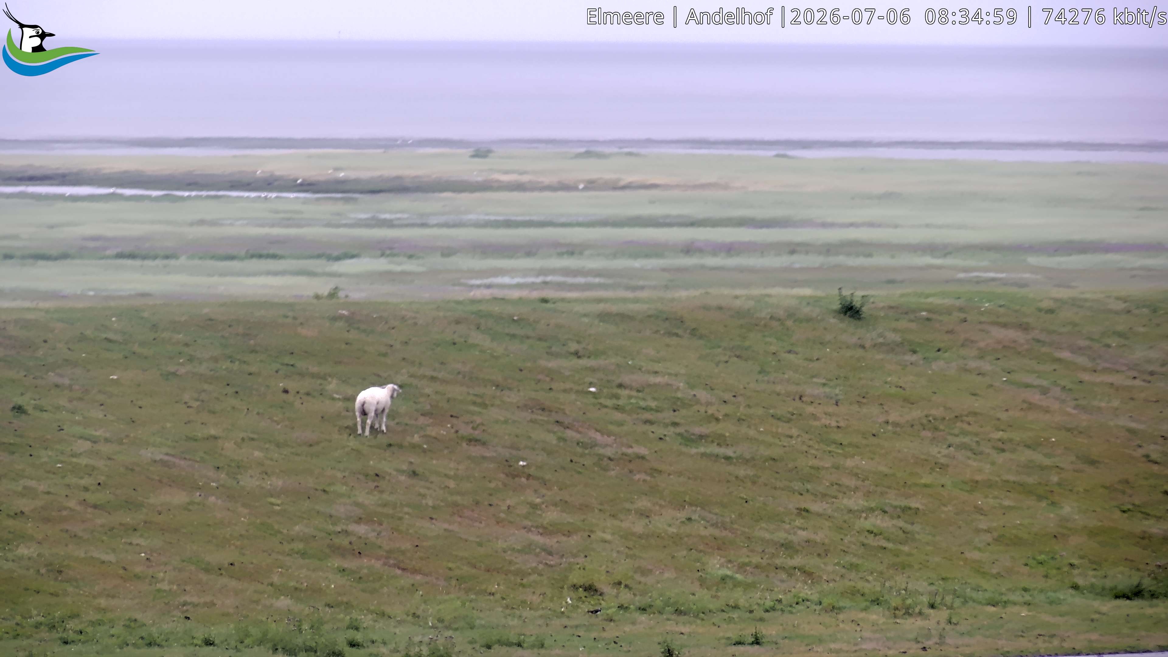 Archiv Foto Webcam Midlum - Andelhof II