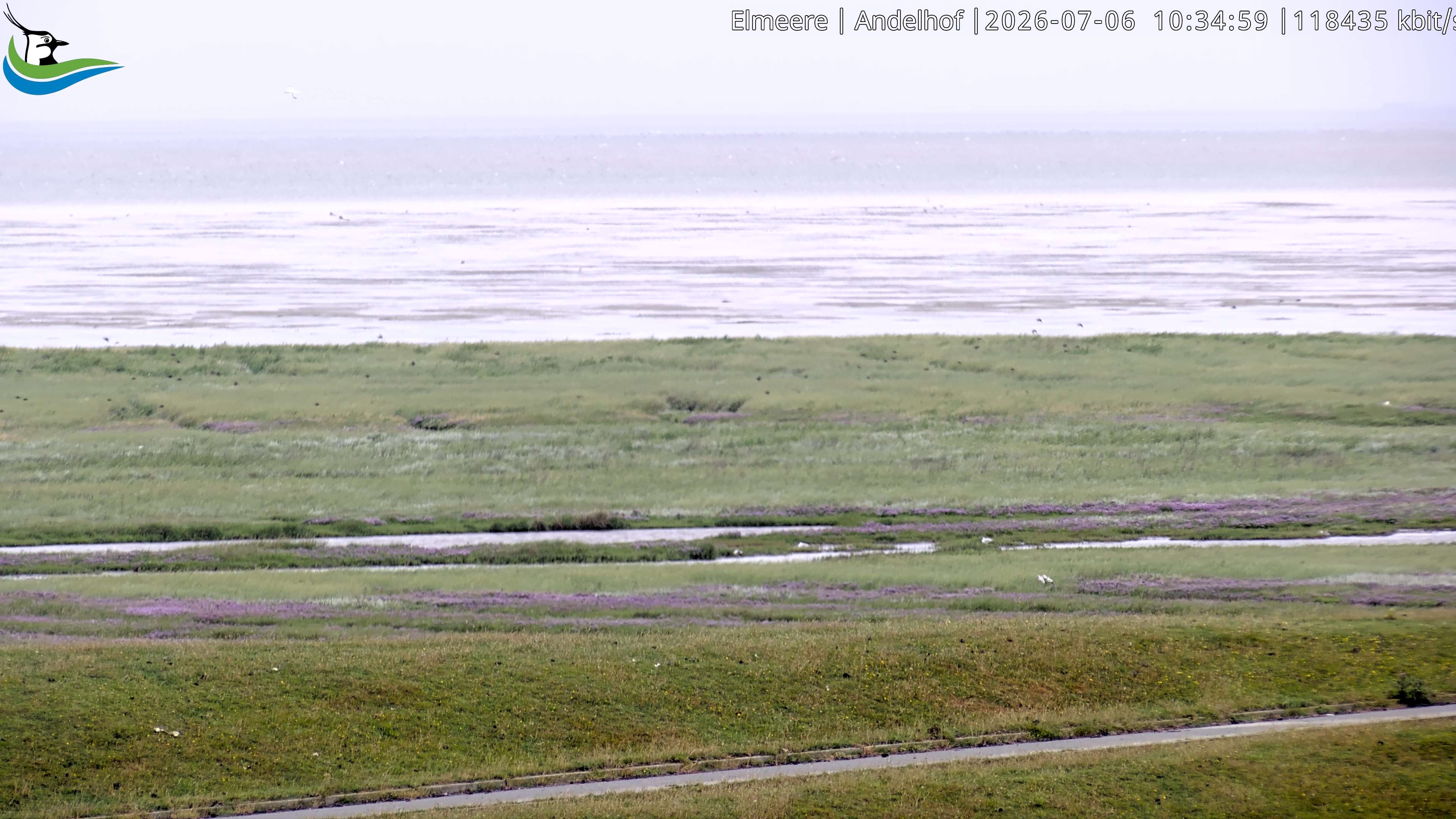 Archiv Foto Webcam Midlum - Andelhof II