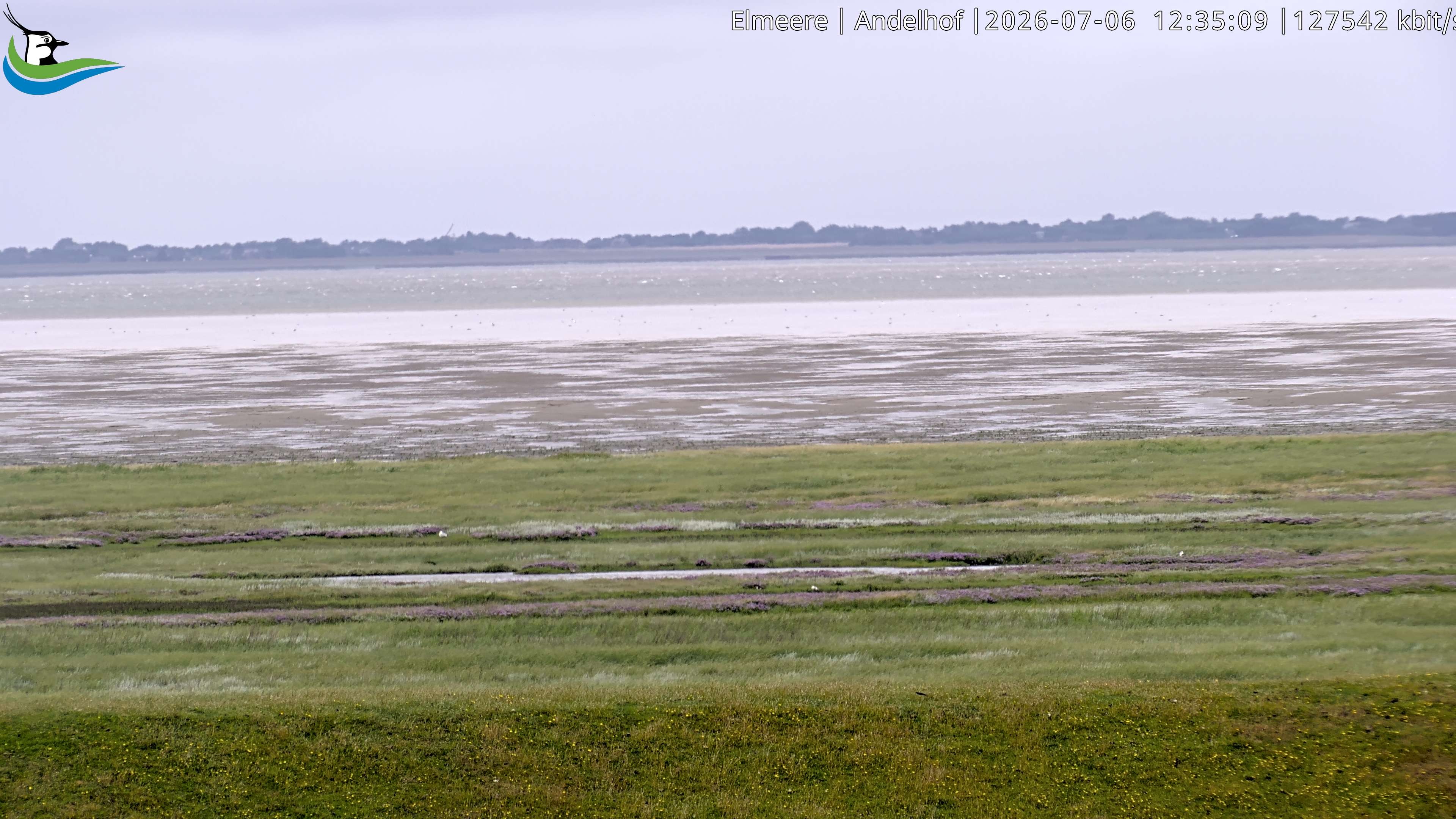 Archived image Webcam Midlum - Hotel Andelhof II