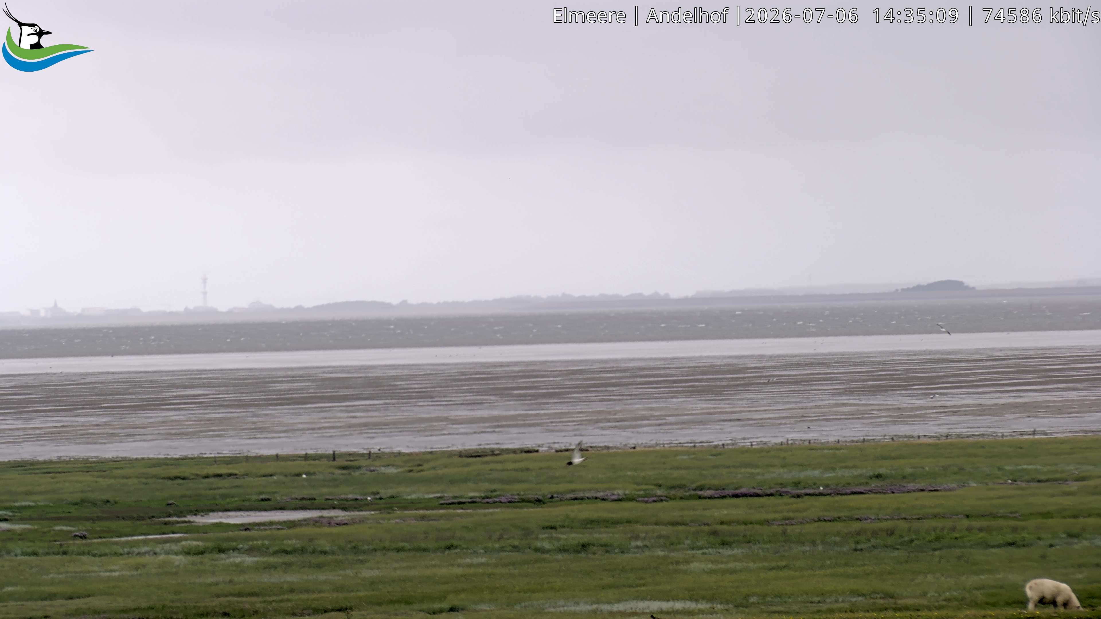 Archived image Webcam Midlum - Hotel Andelhof II