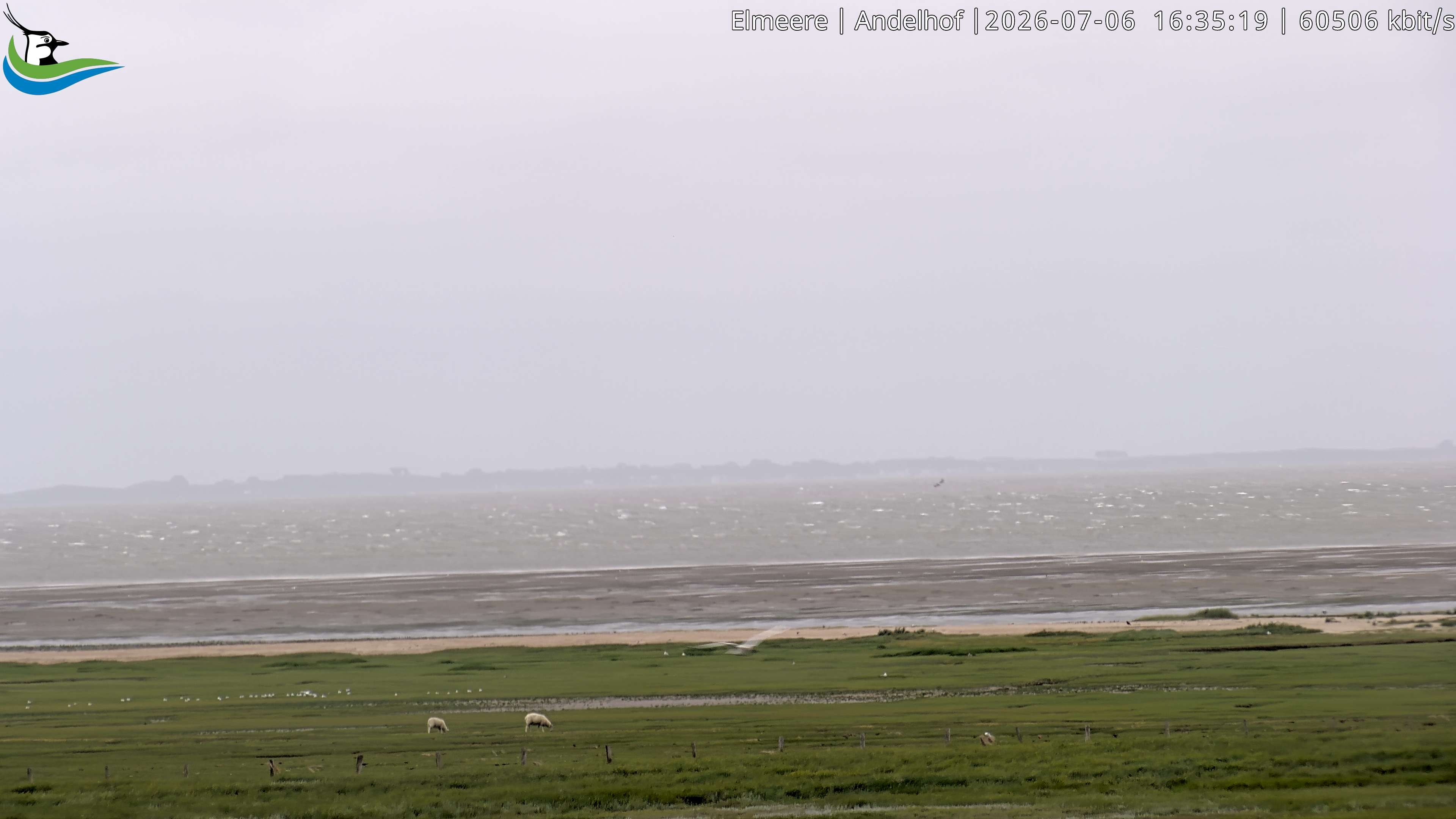 Archiv Foto Webcam Midlum - Andelhof II
