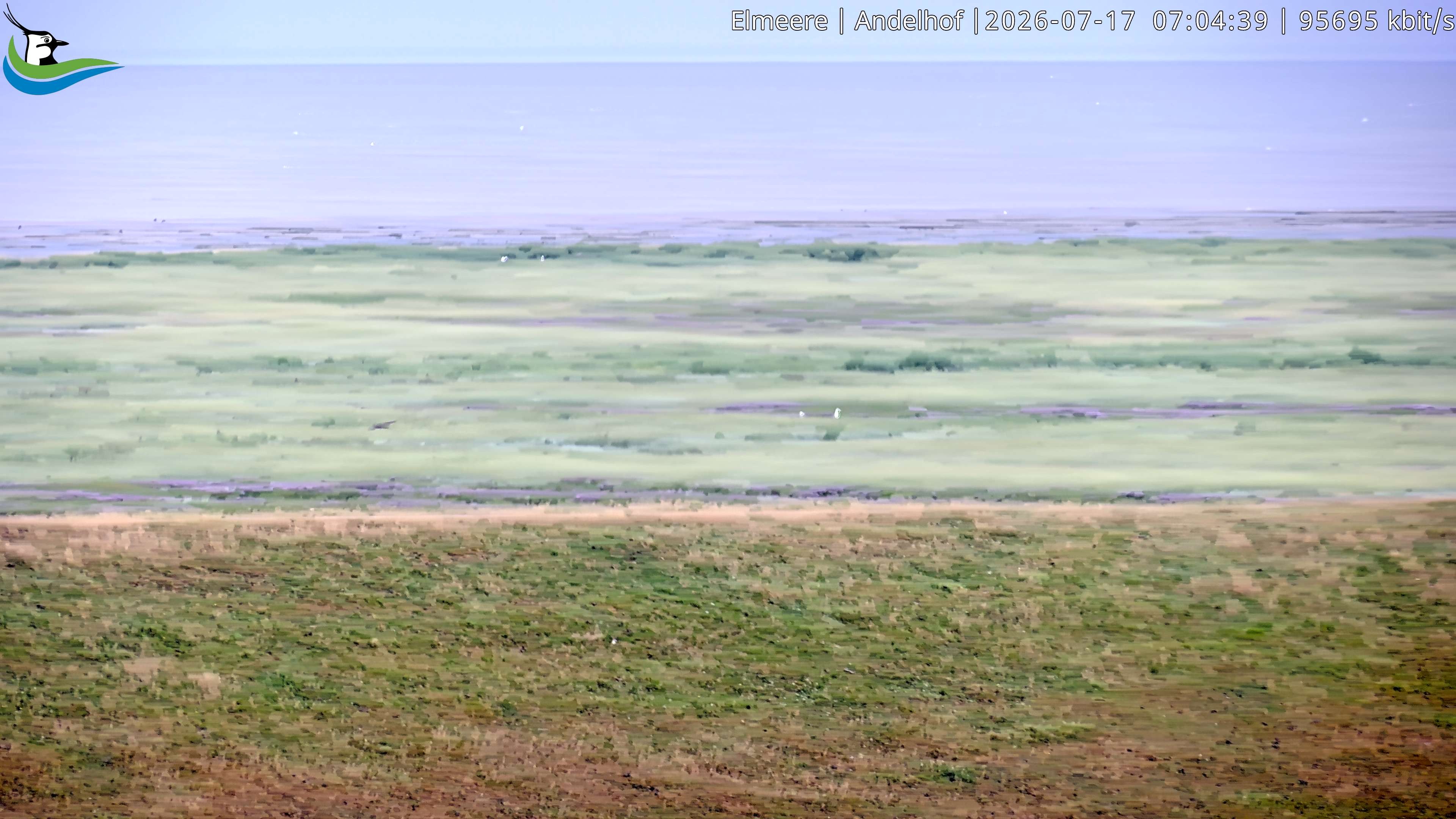 Archiv Foto Webcam Midlum - Andelhof II