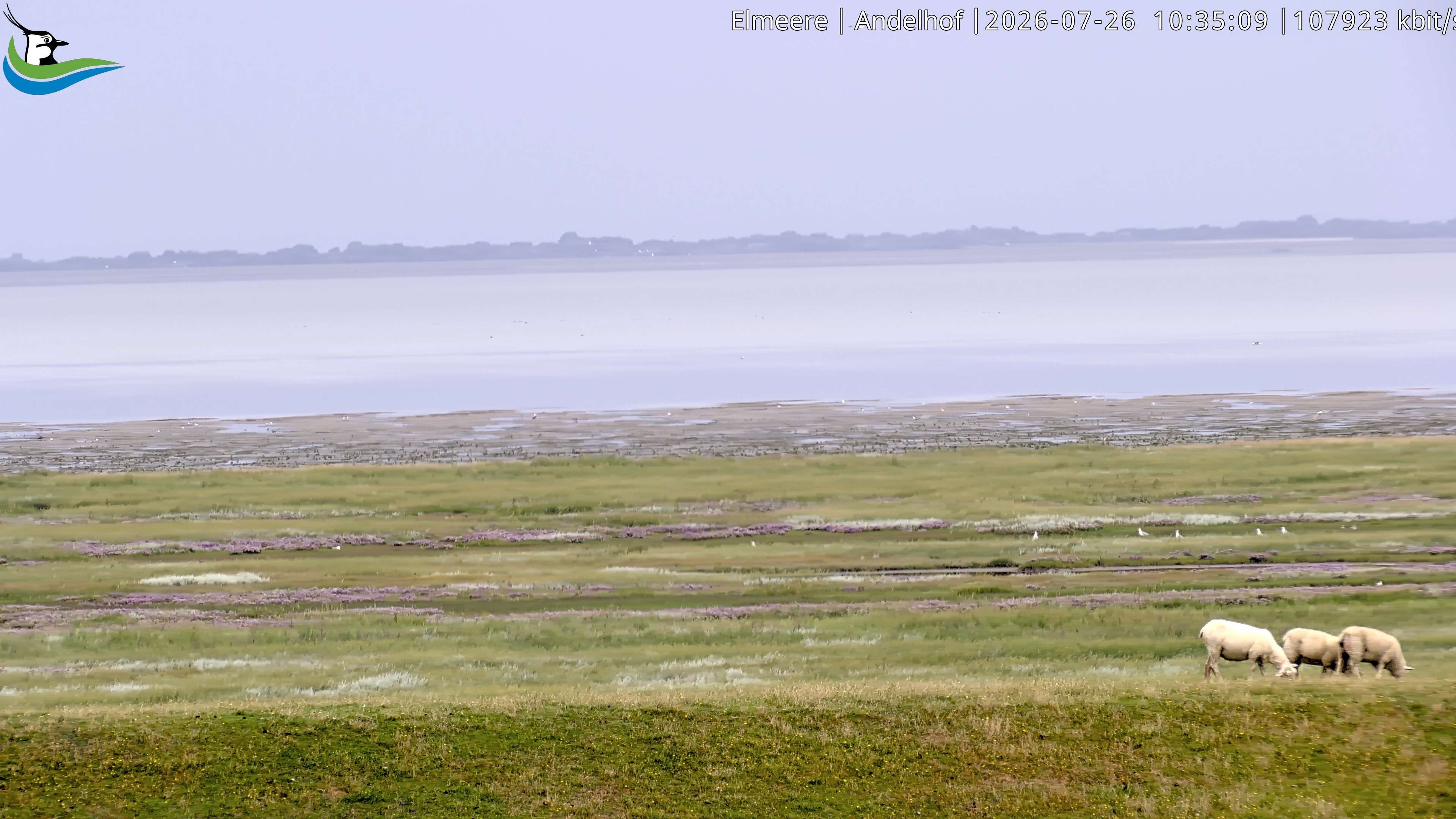 Archiv Foto Webcam Midlum - Andelhof II