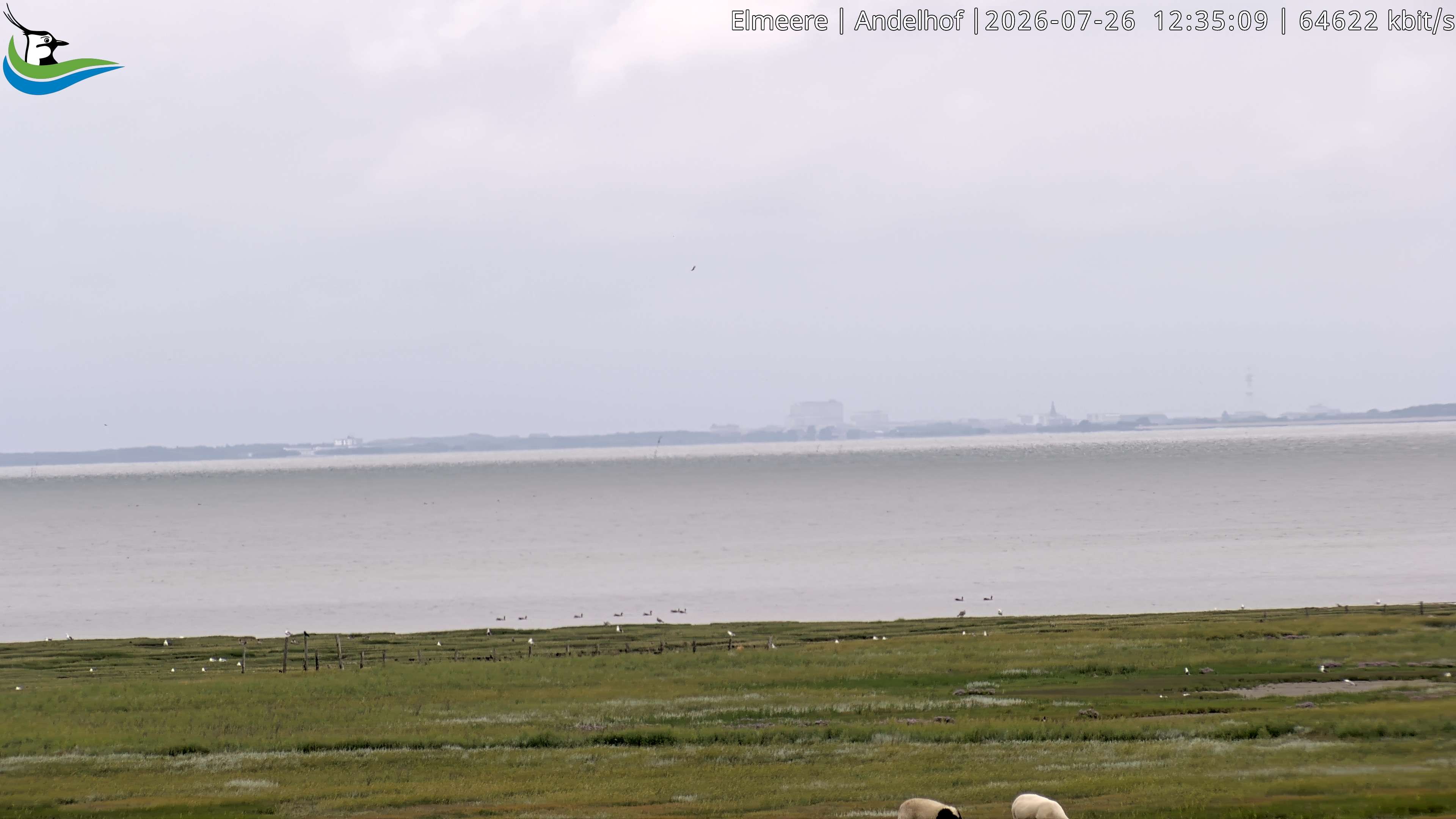 Archiv Foto Webcam Midlum - Andelhof II