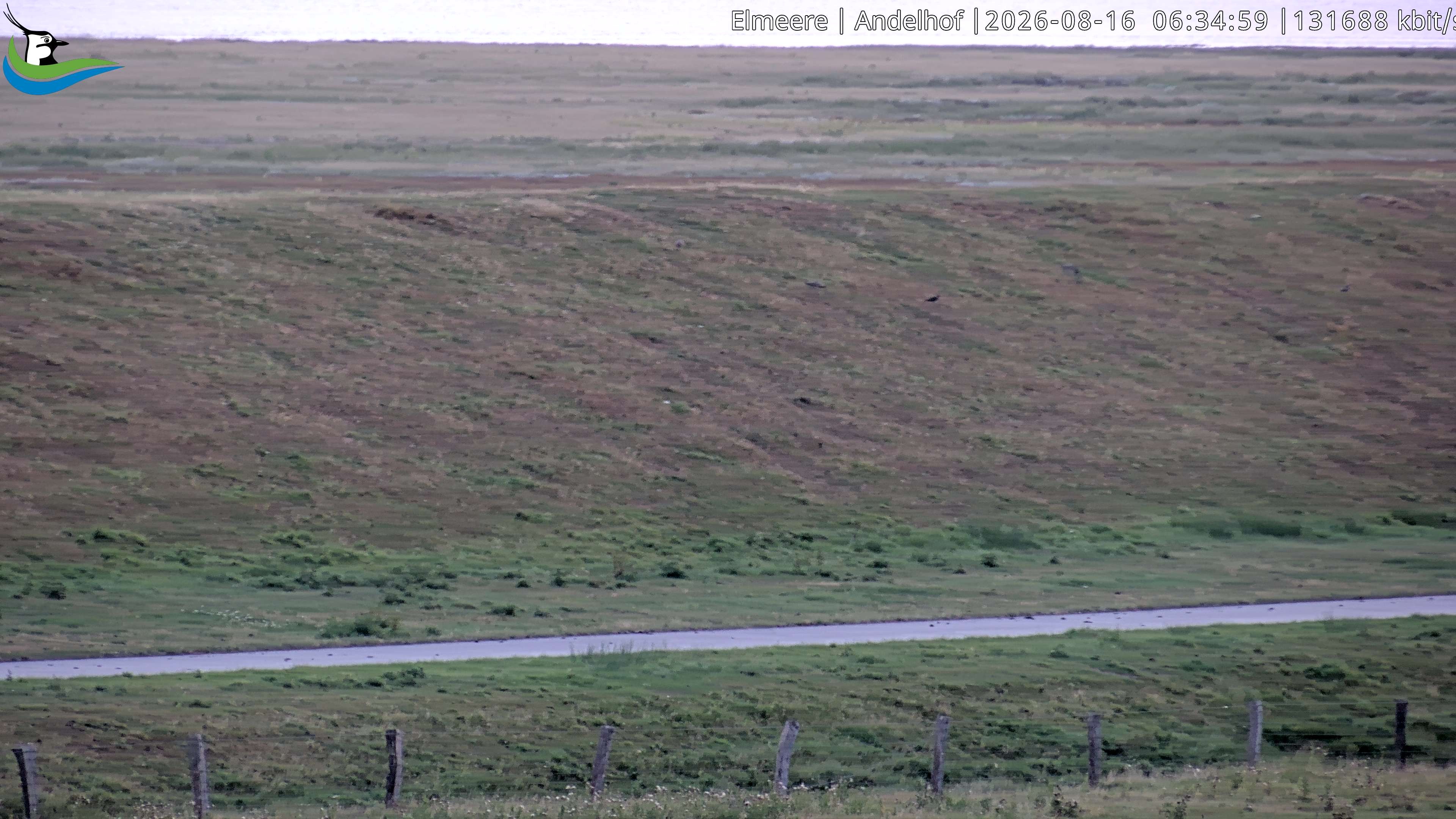 Archiv Foto Webcam Midlum - Andelhof II