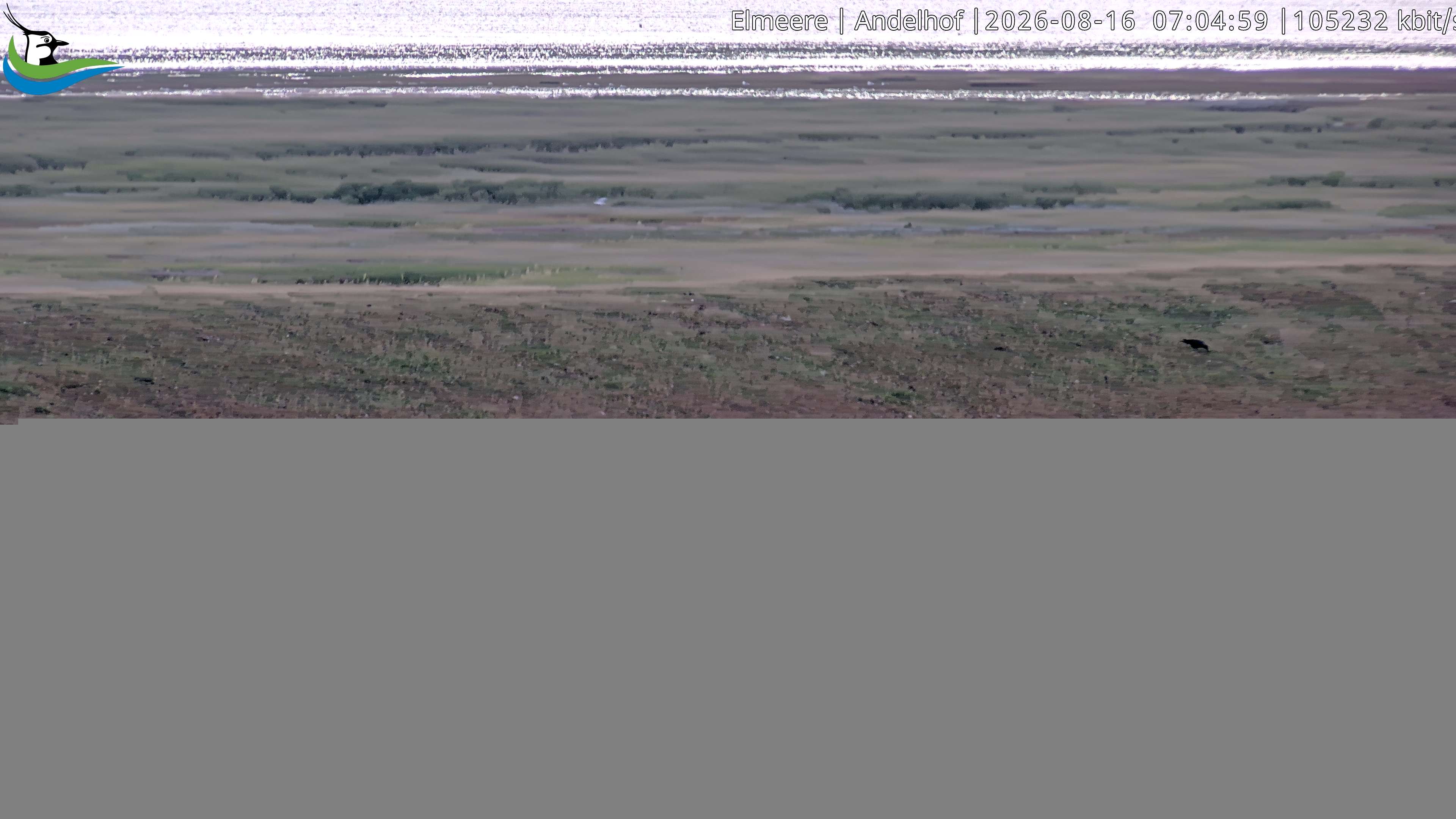 Archiv Foto Webcam Midlum - Andelhof II