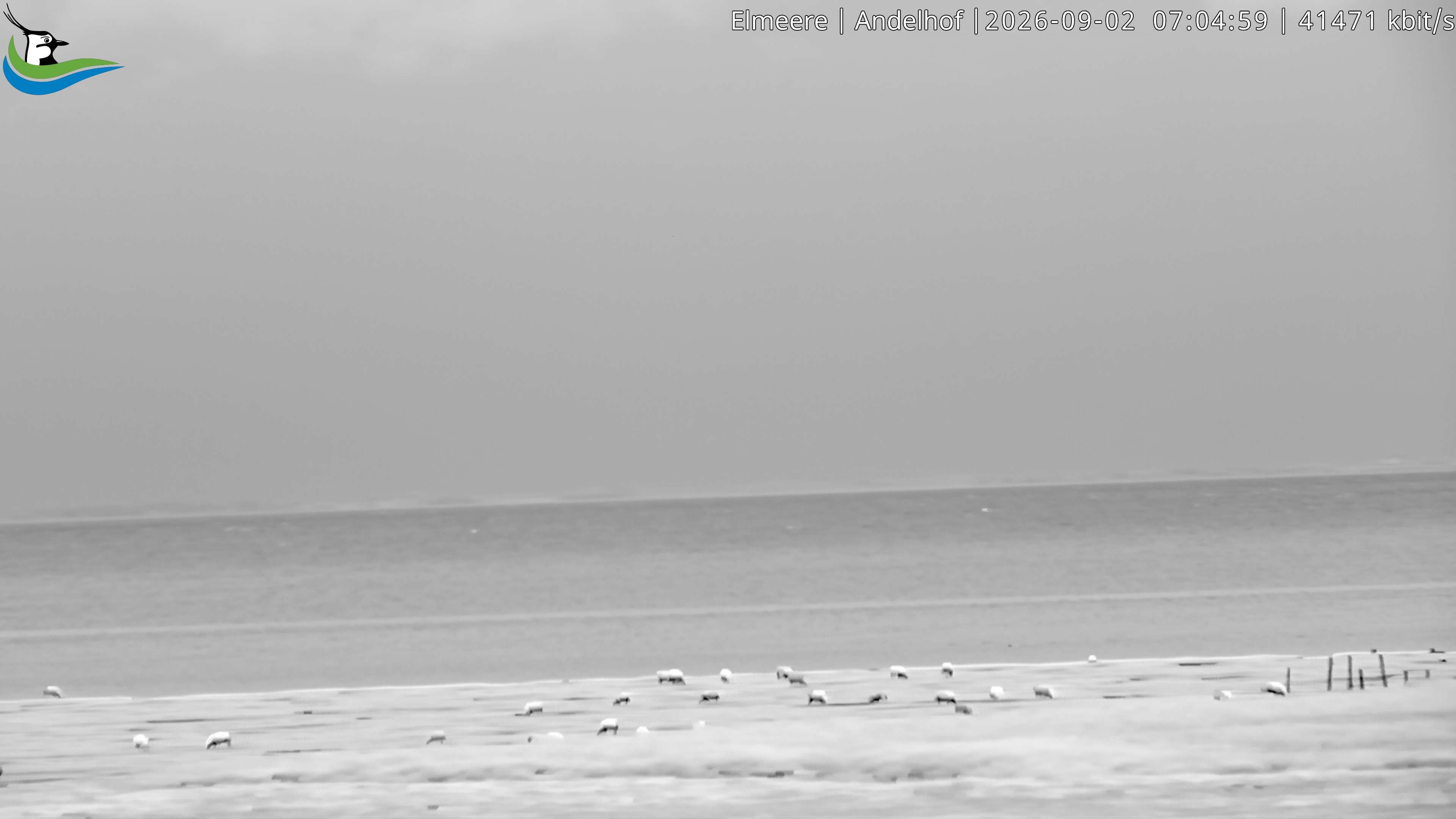 Archived image Webcam Midlum - Hotel Andelhof II