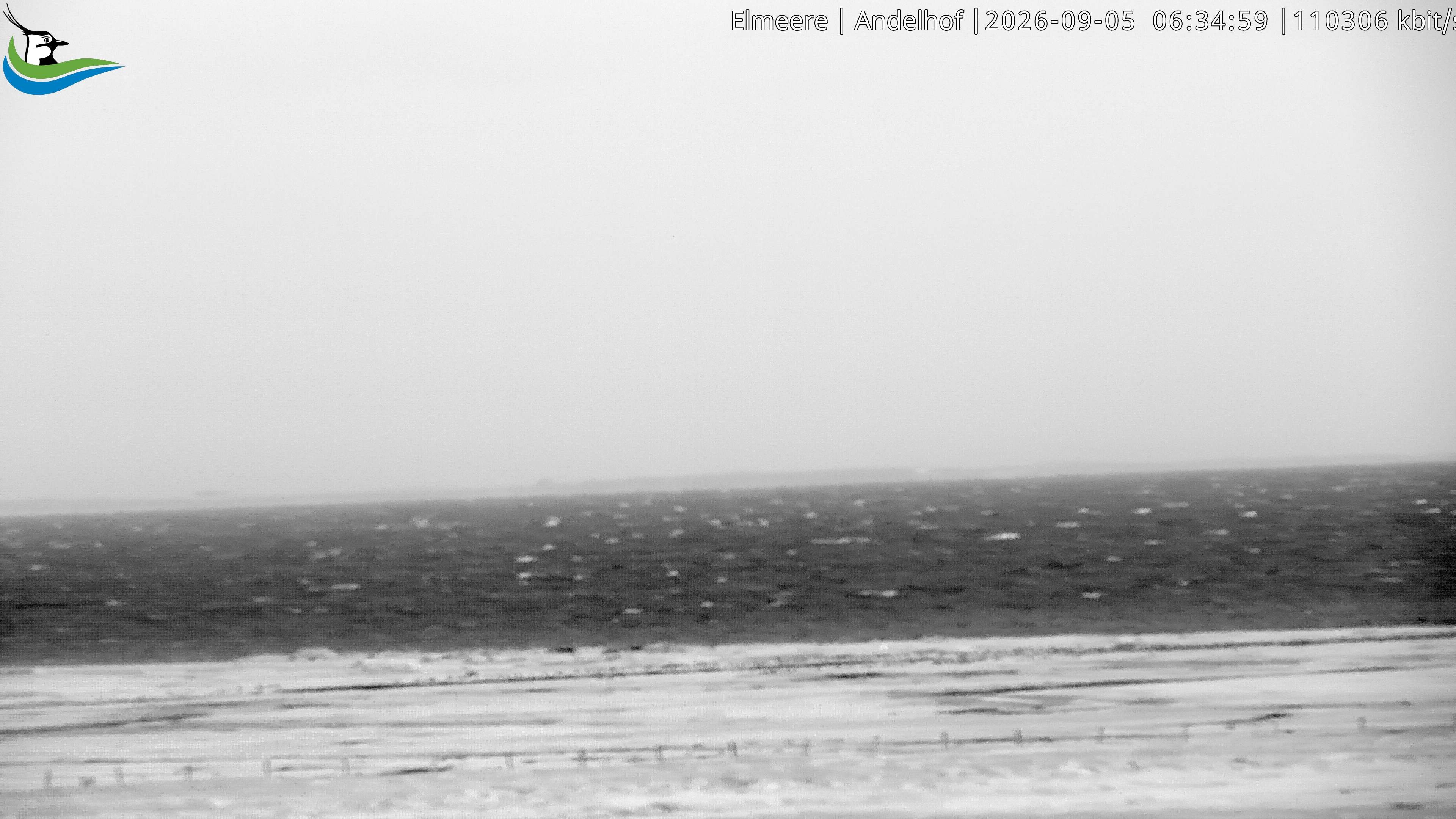 Archiv Foto Webcam Midlum - Andelhof II