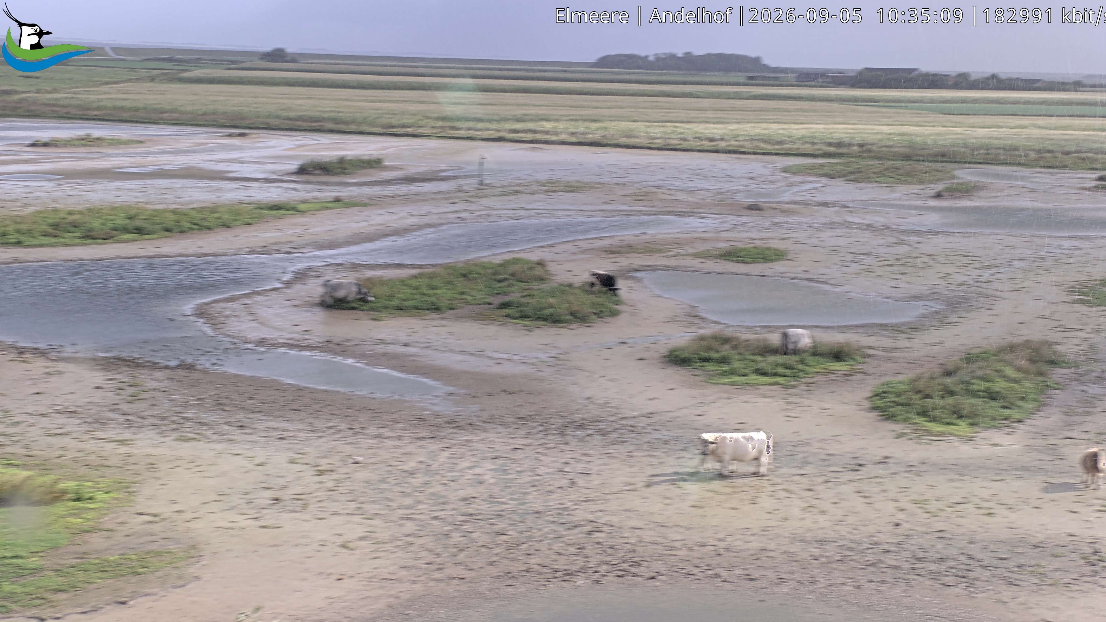 Archiv Foto Webcam Midlum - Andelhof II