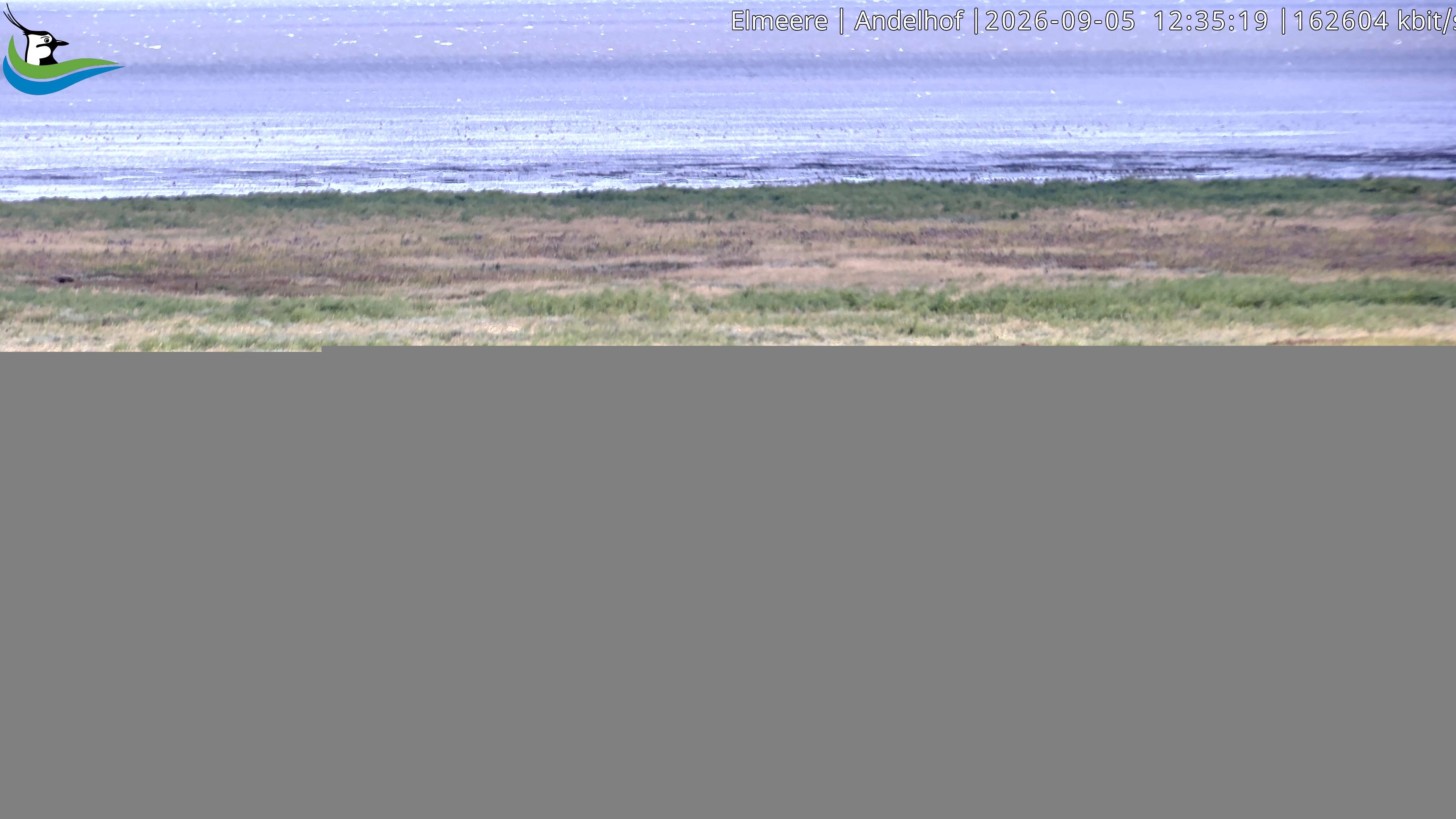 Archiv Foto Webcam Midlum - Andelhof II