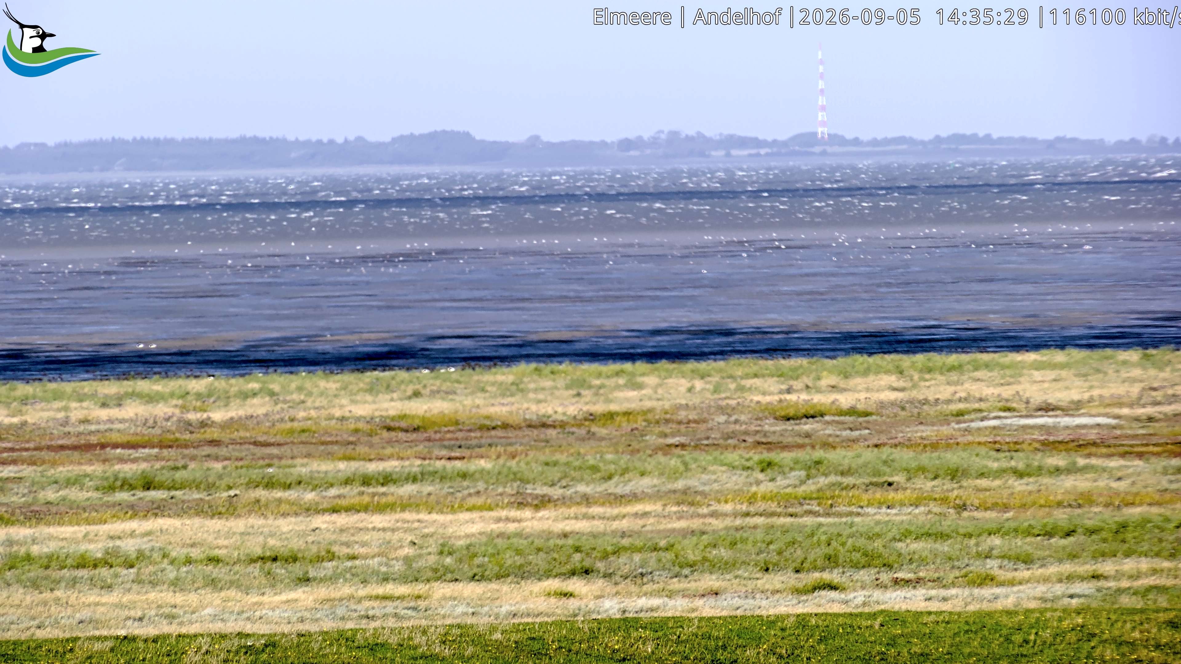 Archiv Foto Webcam Midlum - Andelhof II