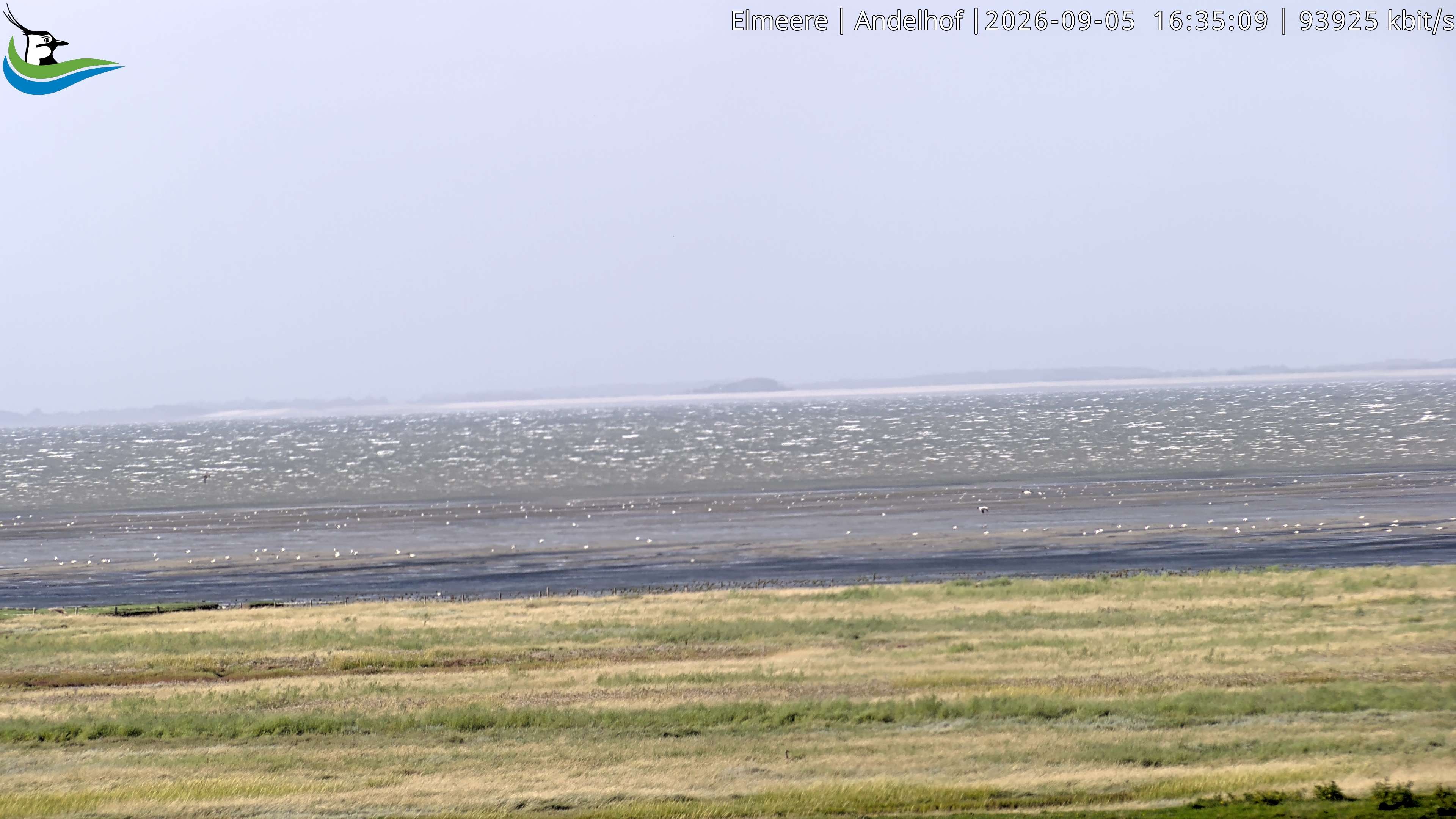 Archiv Foto Webcam Midlum - Andelhof II