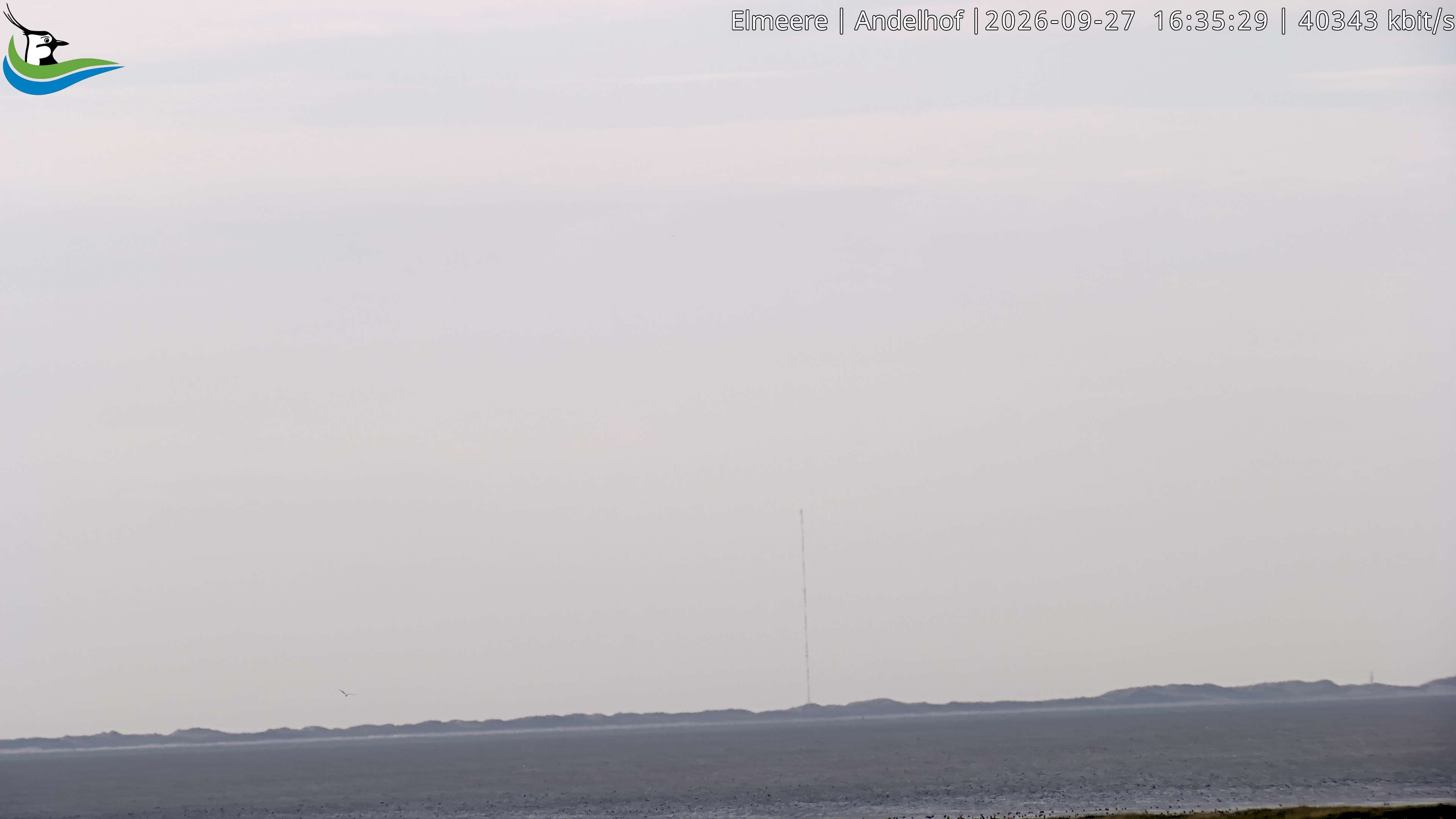Archiv Foto Webcam Midlum - Andelhof II