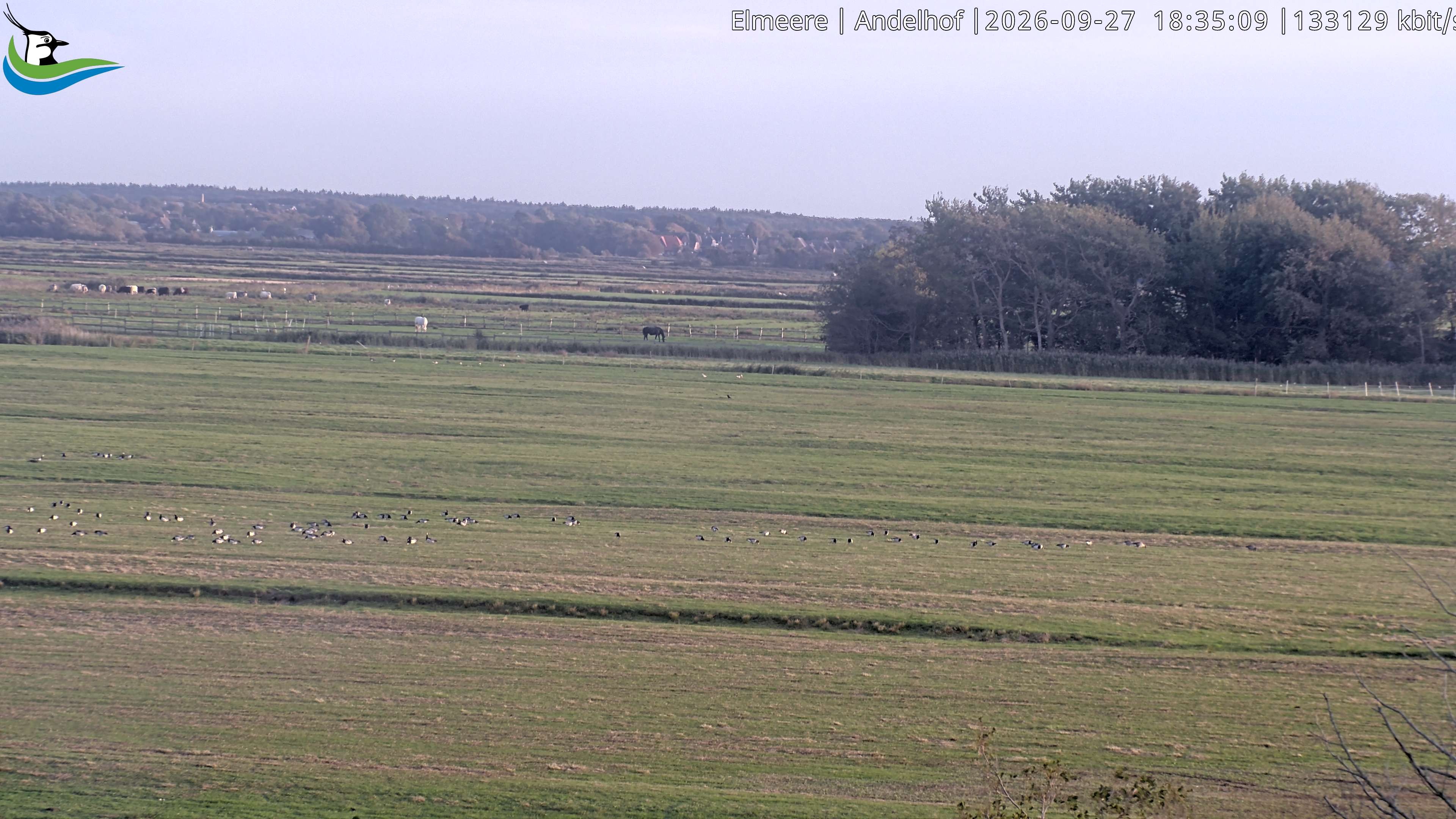 Archiv Foto Webcam Midlum - Andelhof II