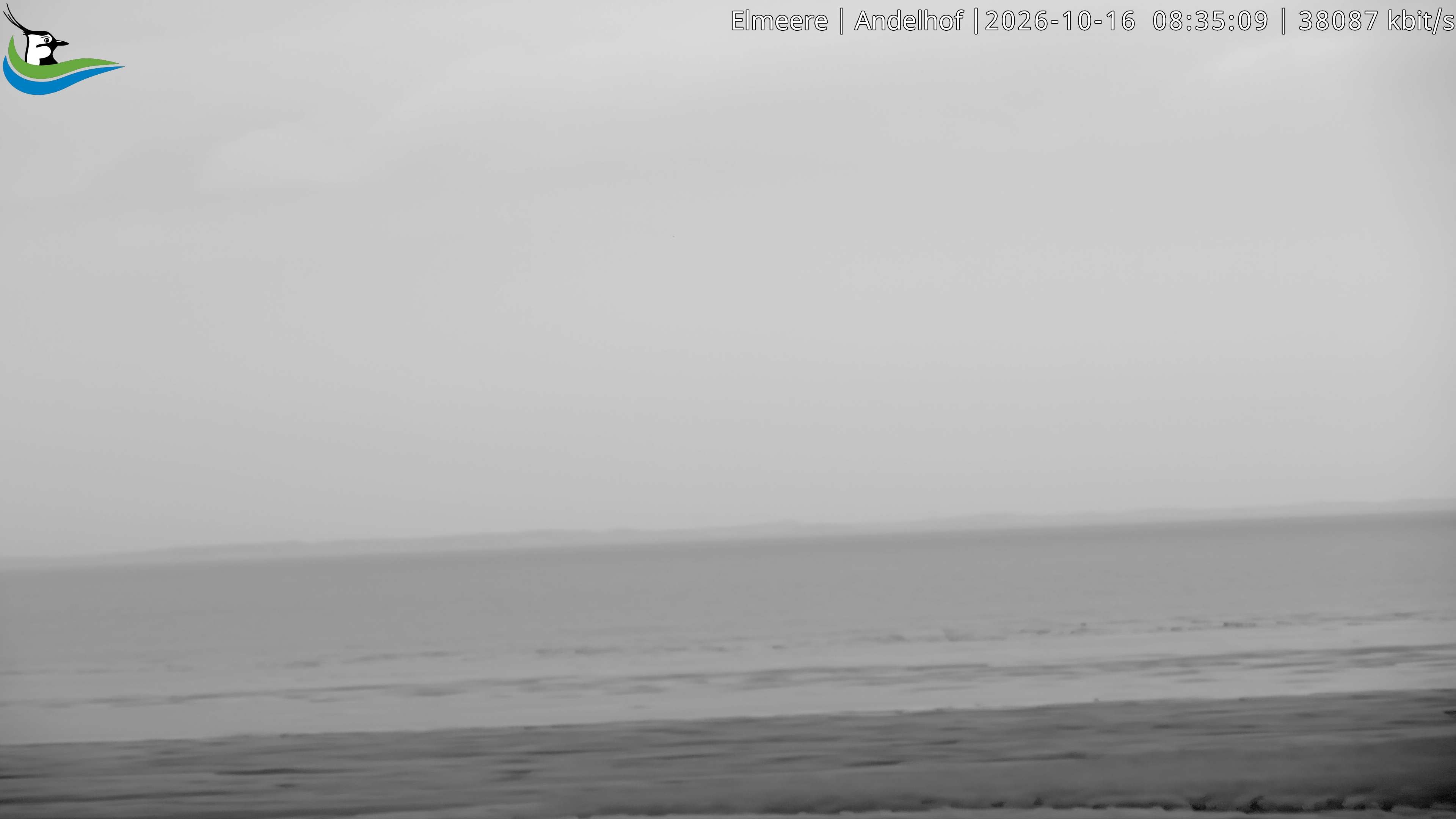 Archiv Foto Webcam Midlum - Andelhof II