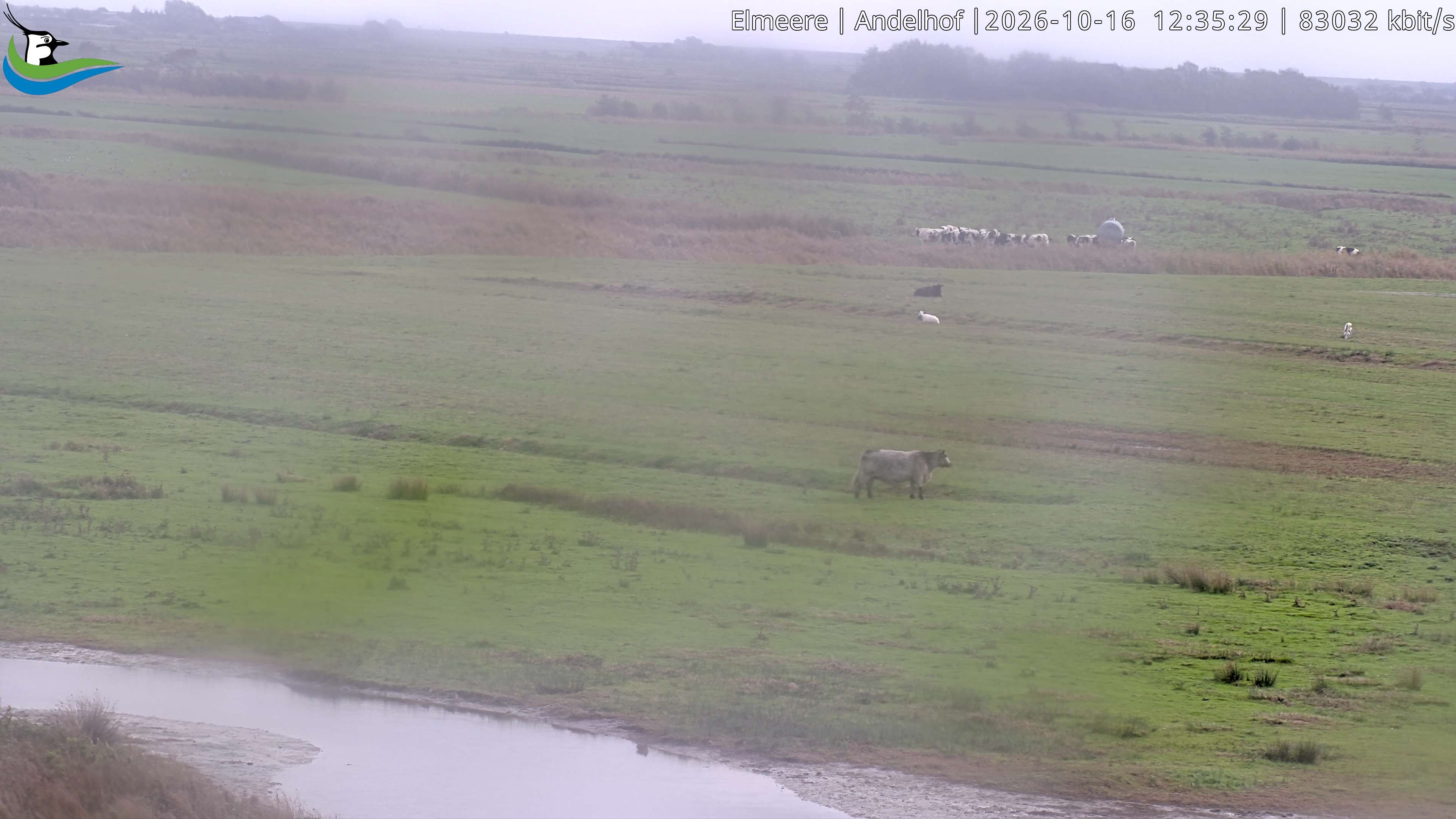 Archiv Foto Webcam Midlum - Andelhof II