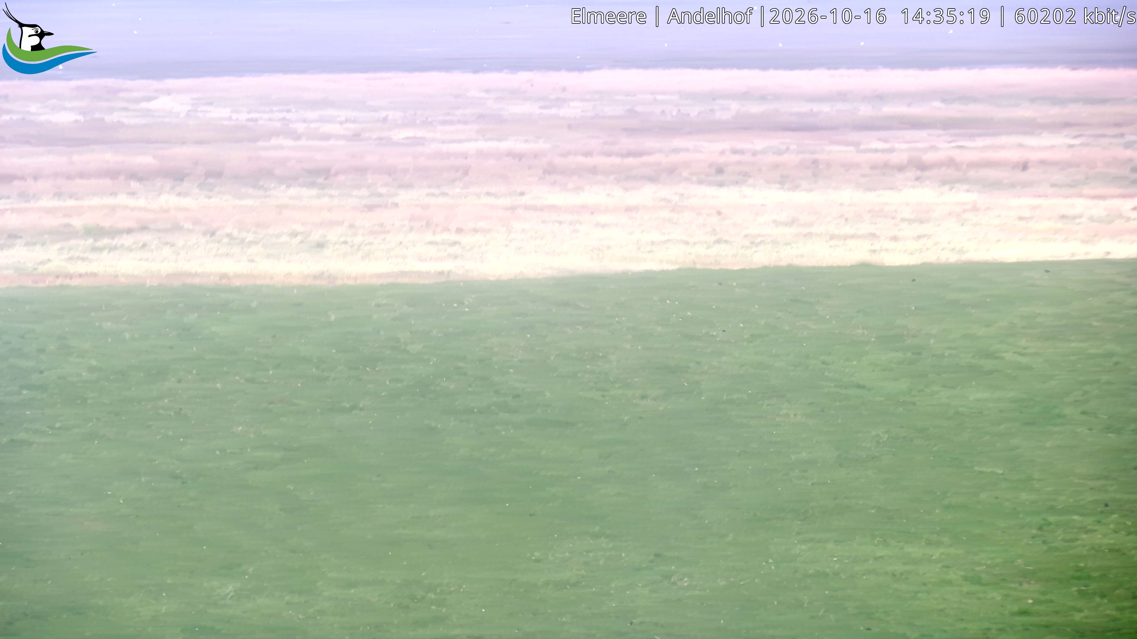 Archiv Foto Webcam Midlum - Andelhof II