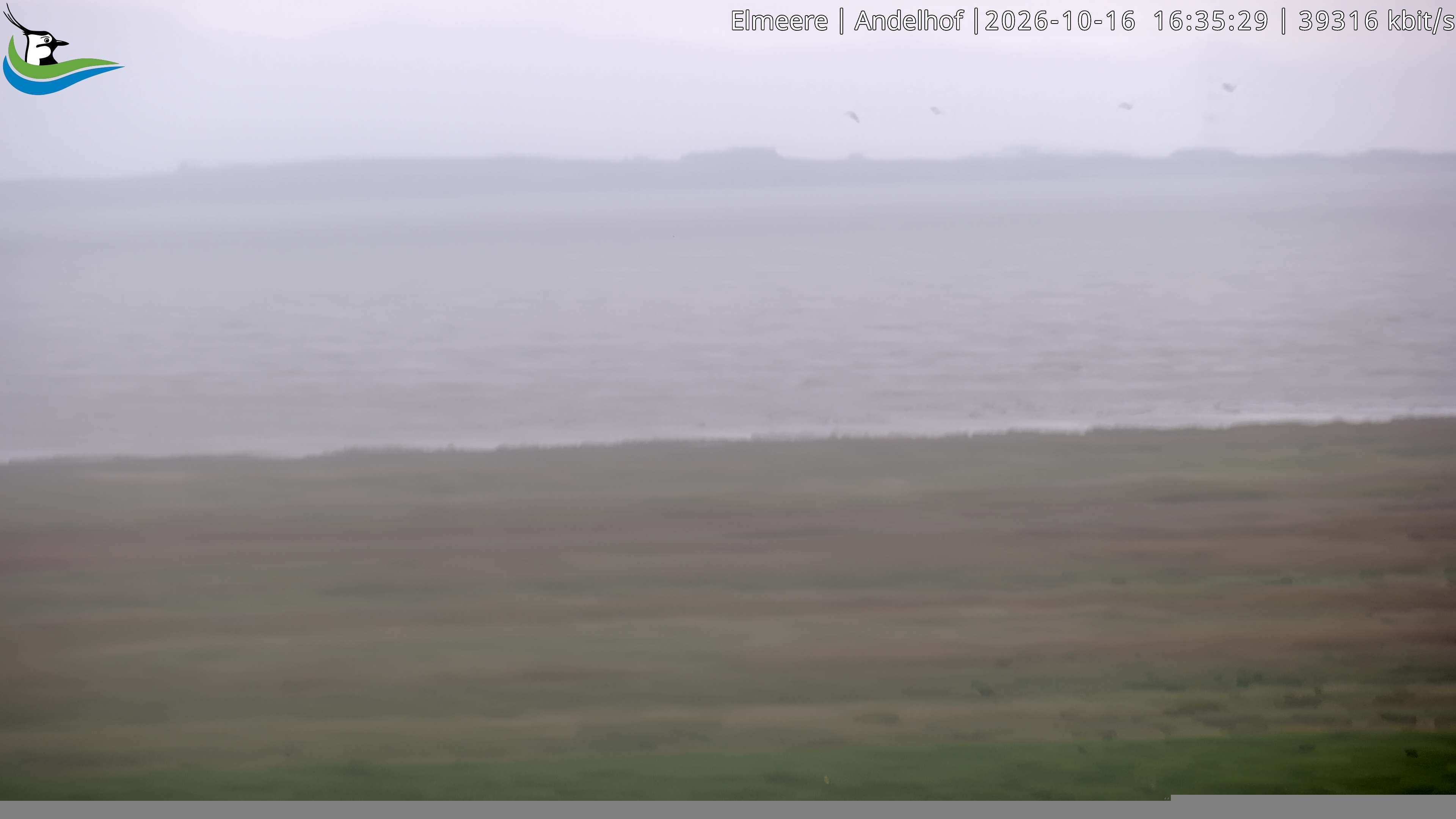 Archiv Foto Webcam Midlum - Andelhof II