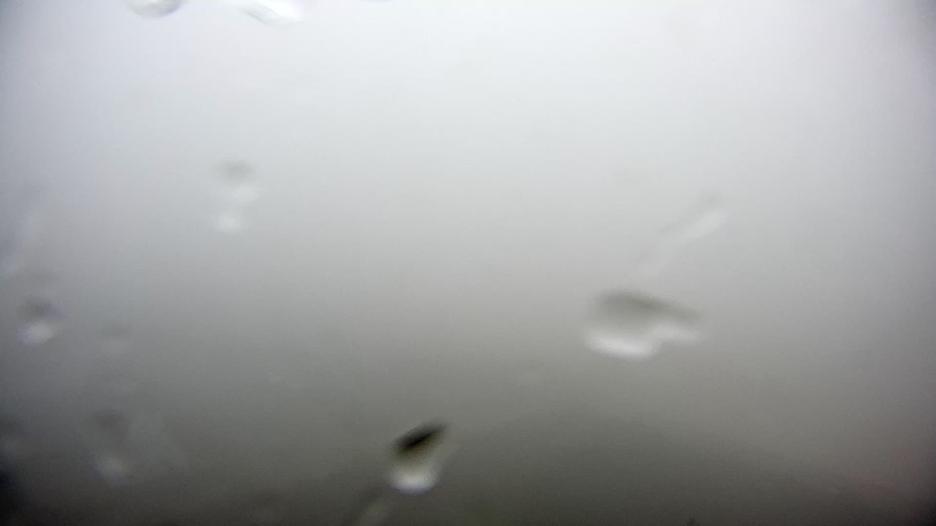 Archiv Foto Webcam Sylt: Hörnum Strand