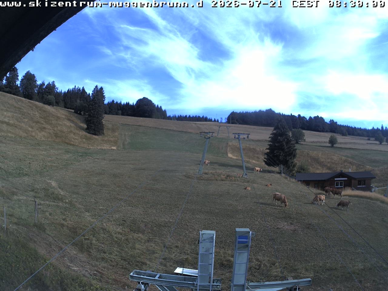 Archiv Foto Webcam am Winkellift Muggenbrunn