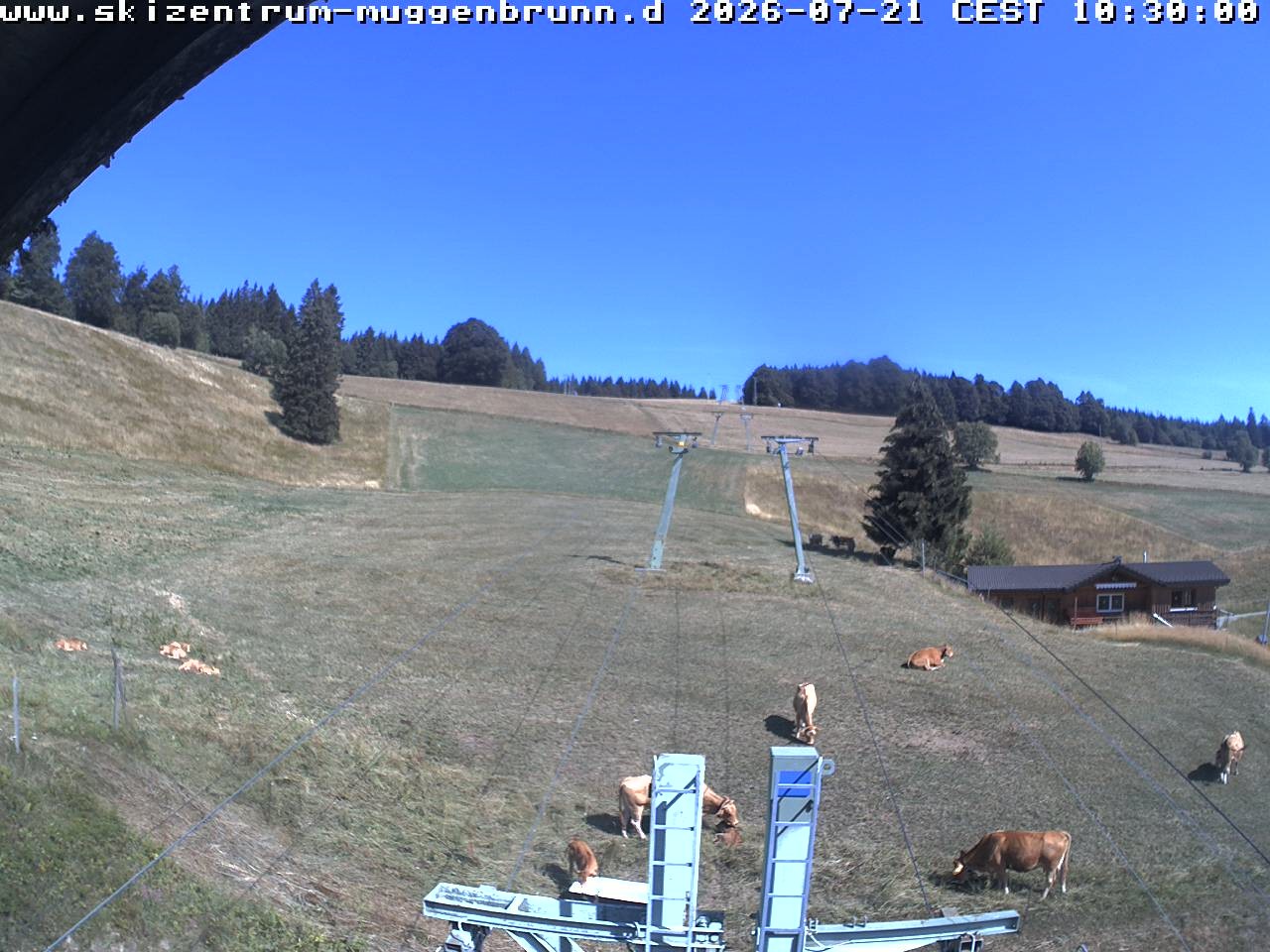 Archiv Foto Webcam am Winkellift Muggenbrunn