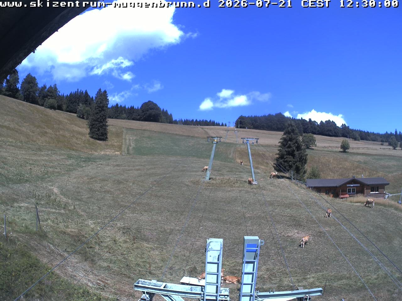 Archiv Foto Webcam am Winkellift Muggenbrunn