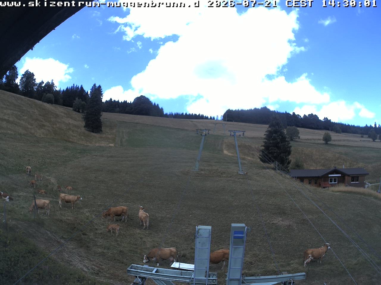 Archiv Foto Webcam am Winkellift Muggenbrunn