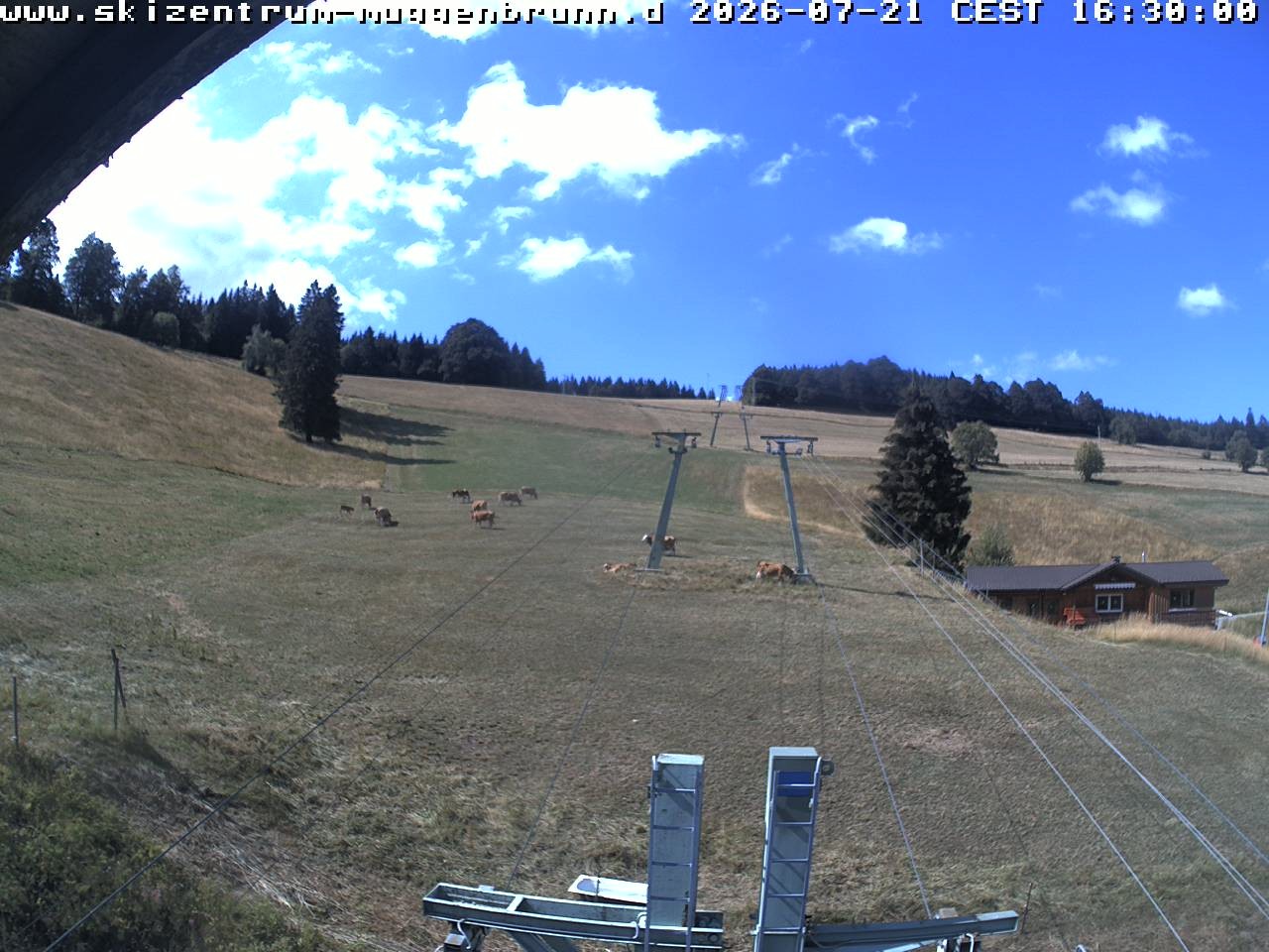 Archiv Foto Webcam am Winkellift Muggenbrunn