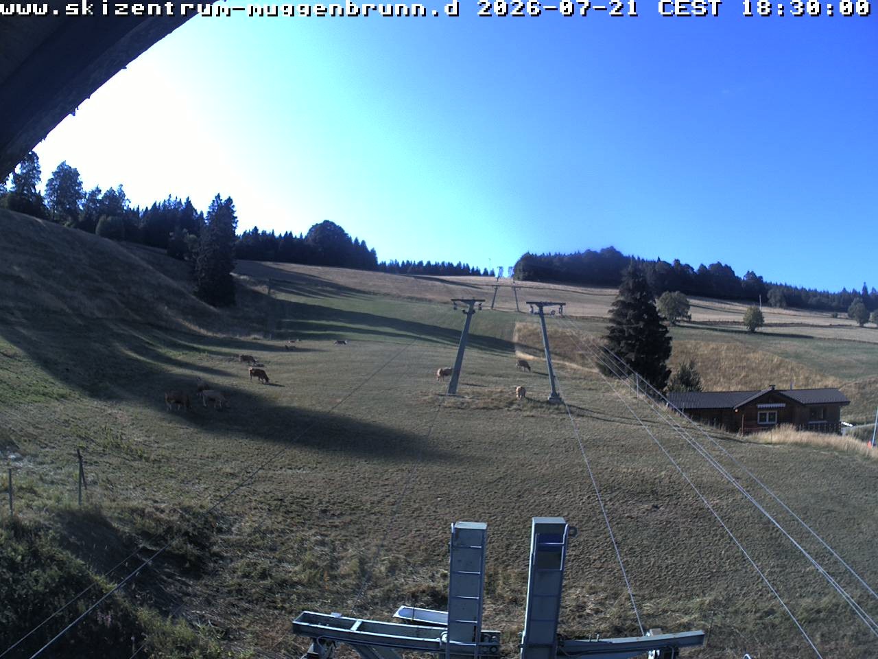 Archiv Foto Webcam am Winkellift Muggenbrunn