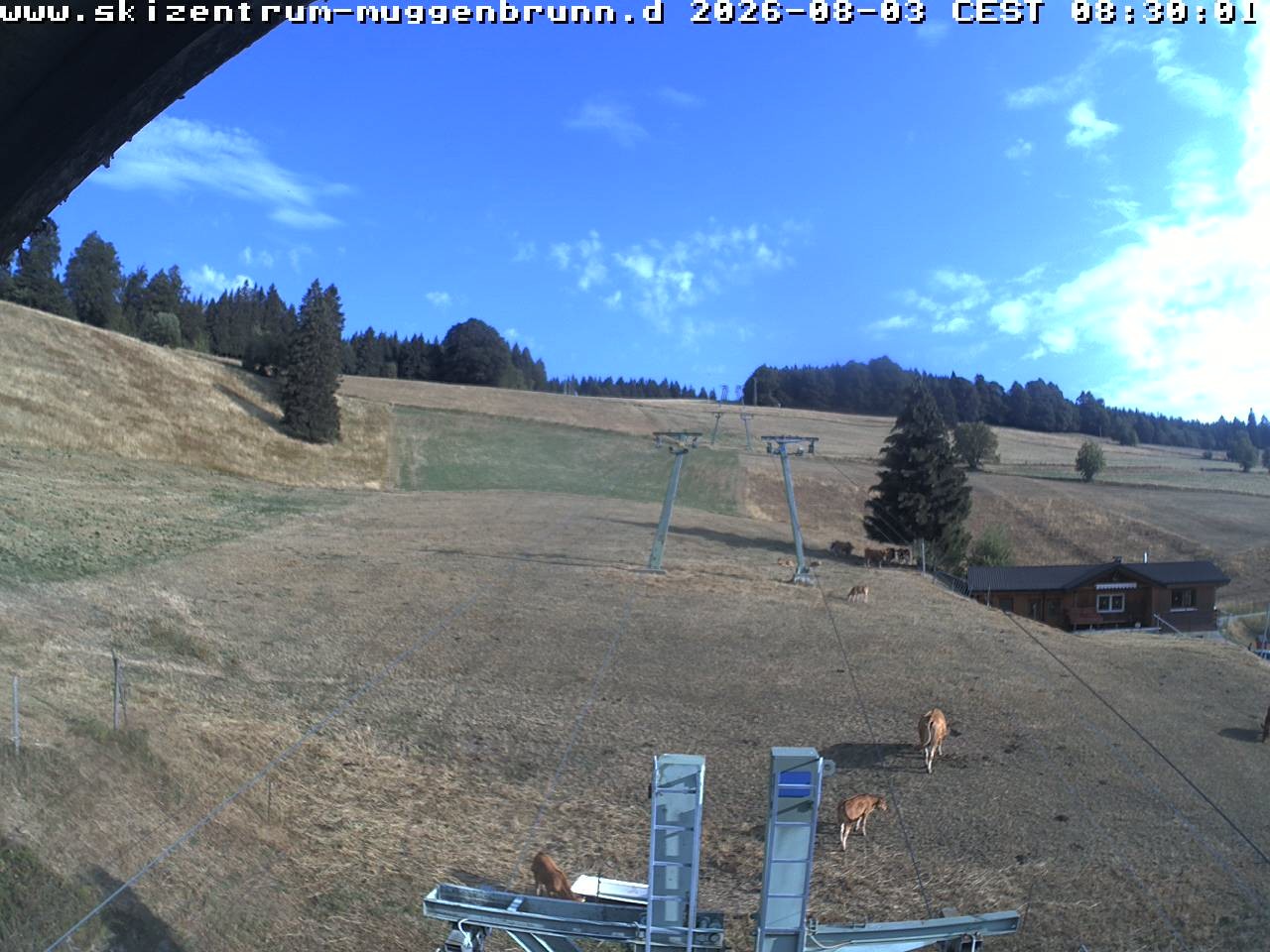 Archiv Foto Webcam am Winkellift Muggenbrunn