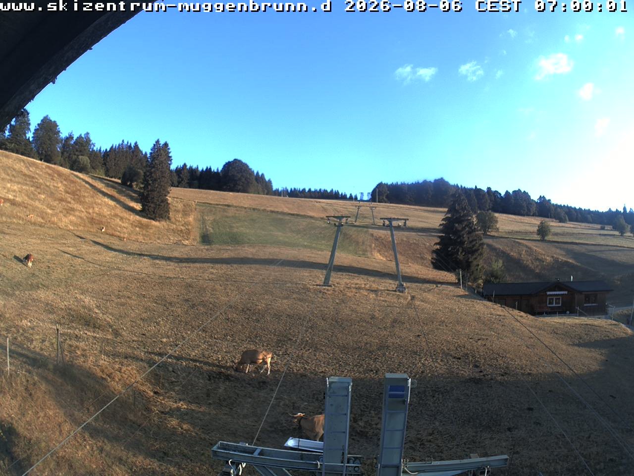 Archiv Foto Webcam am Winkellift Muggenbrunn