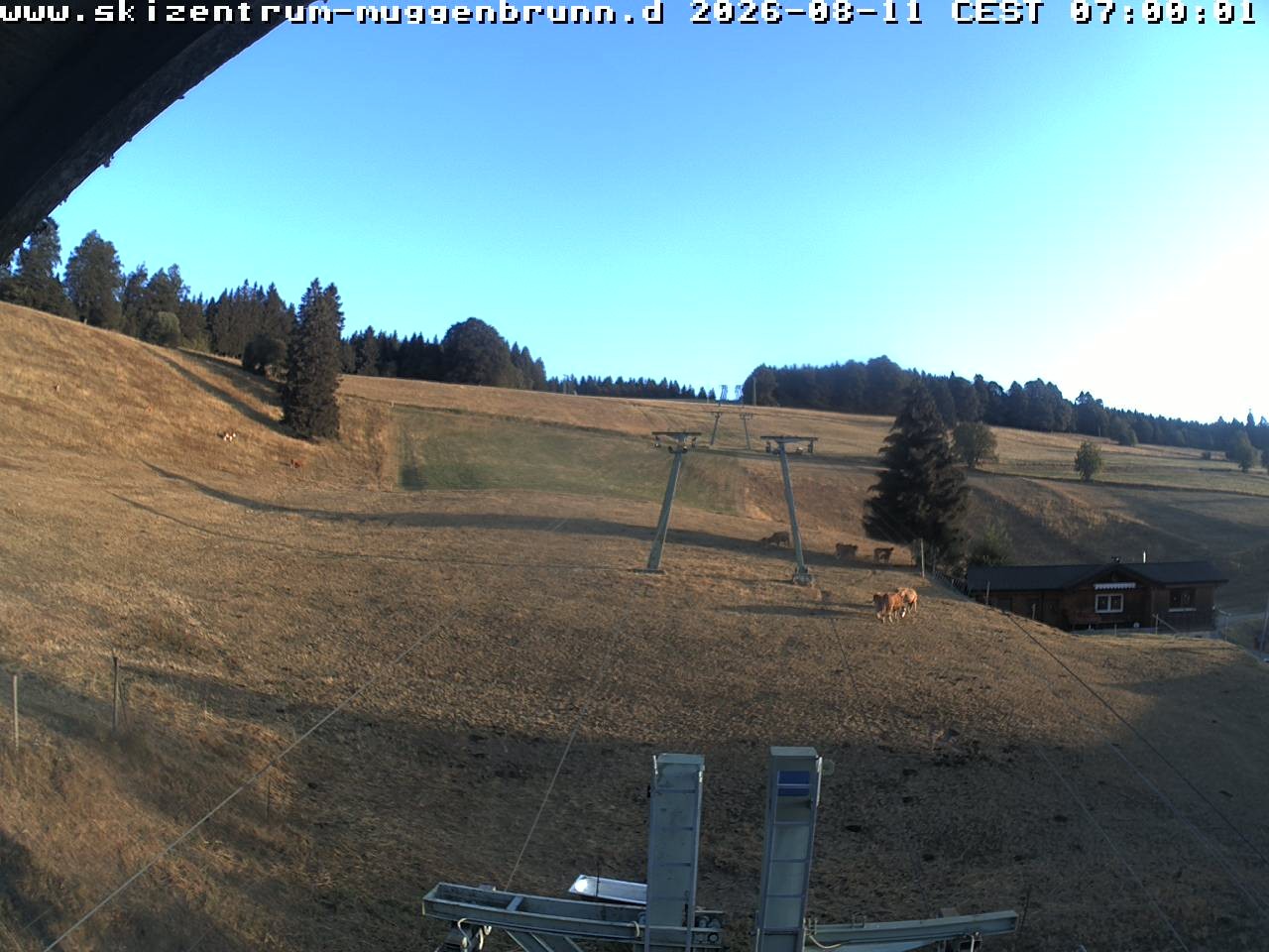Archiv Foto Webcam am Winkellift Muggenbrunn