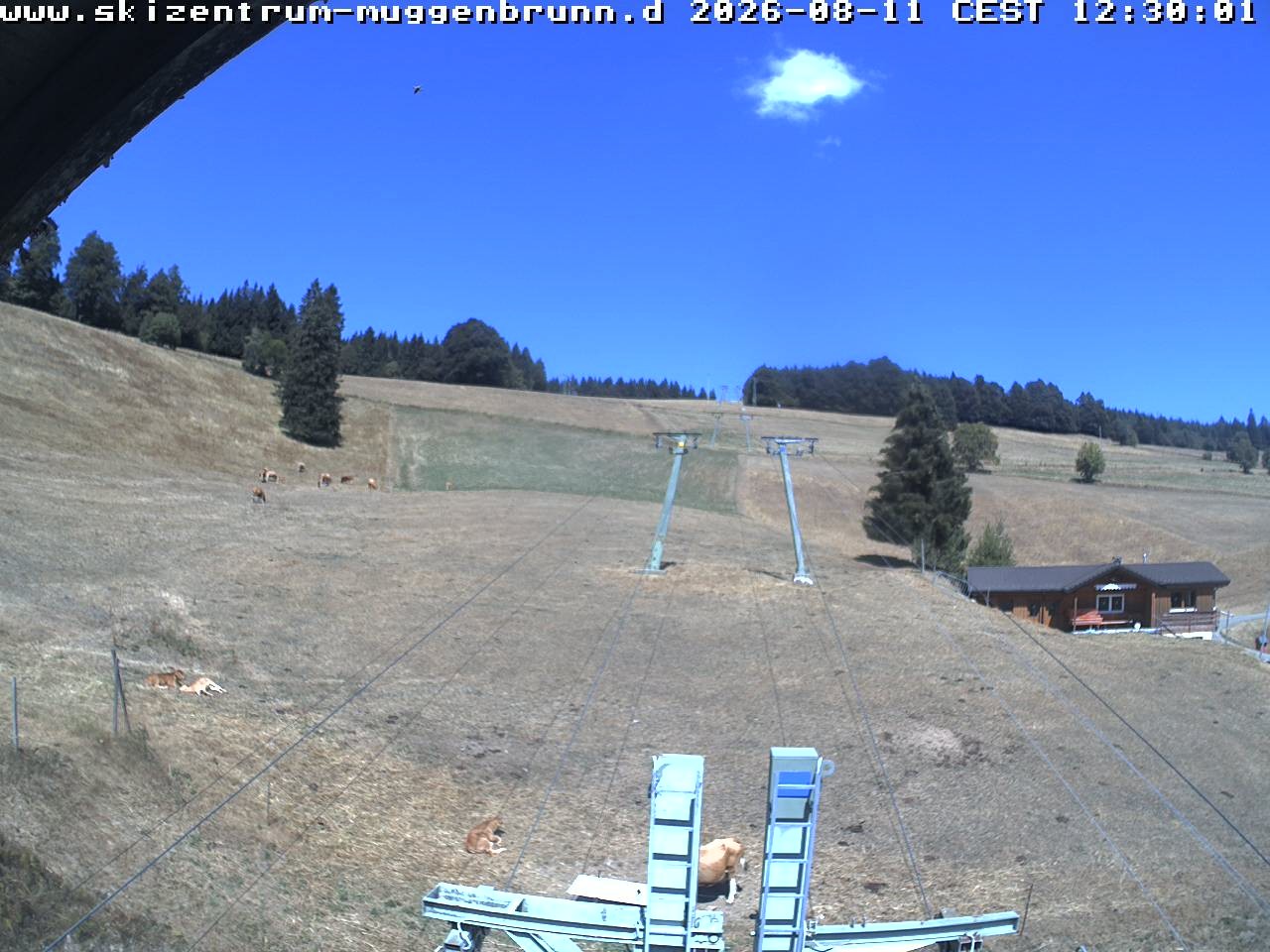 Archiv Foto Webcam am Winkellift Muggenbrunn