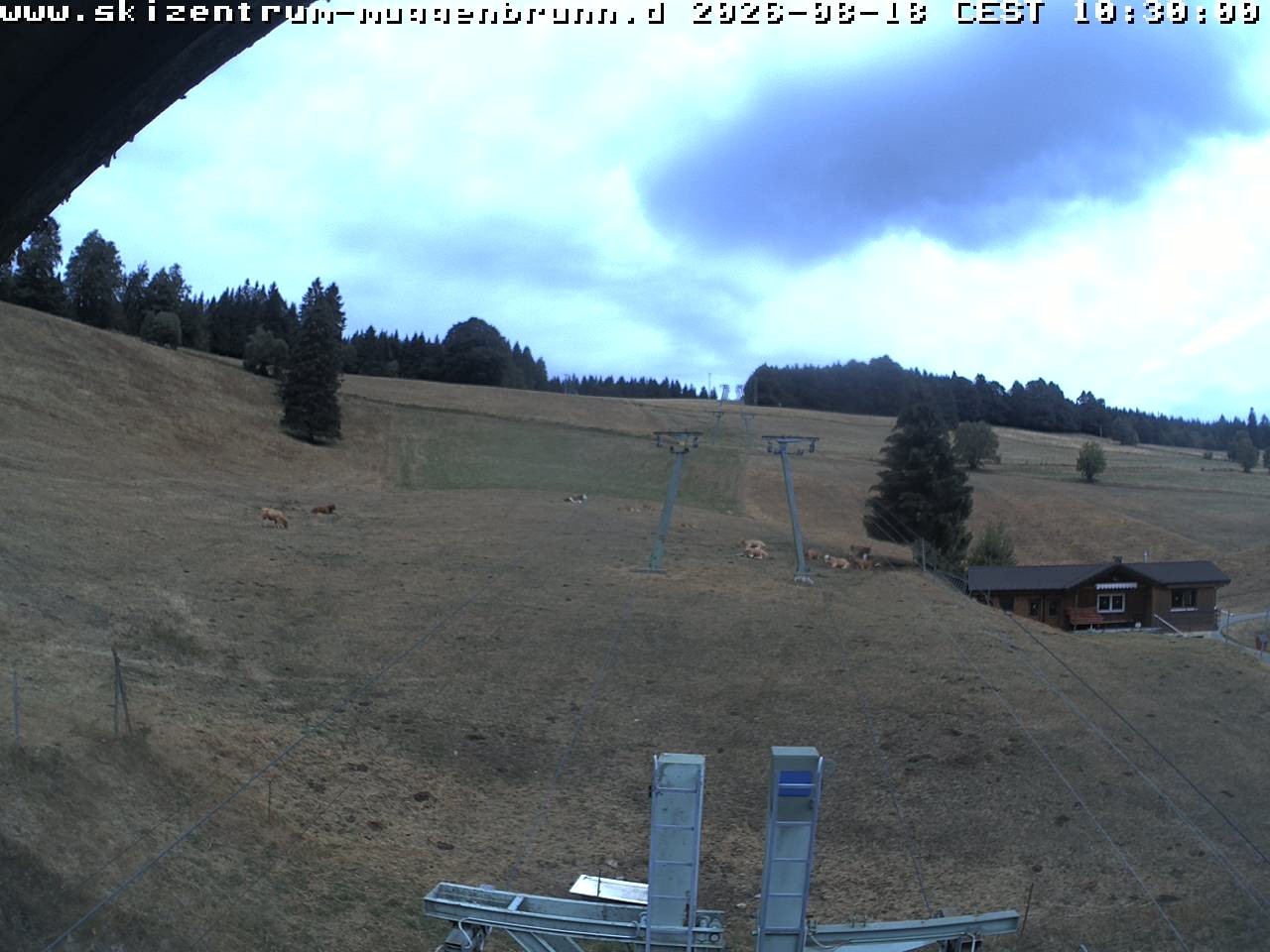 Archiv Foto Webcam am Winkellift Muggenbrunn