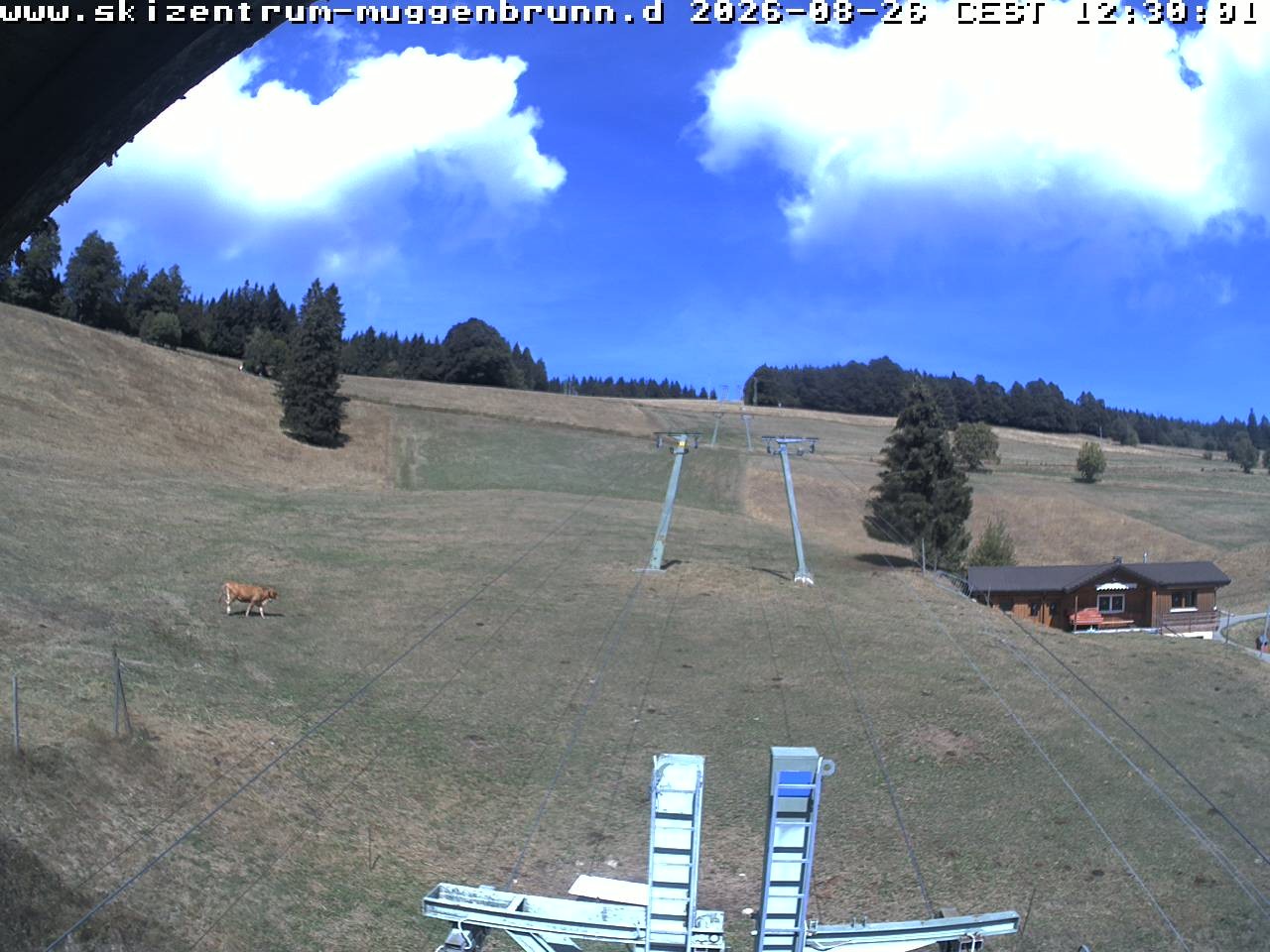 Archived image Webcam at Winkellift Muggenbrunn