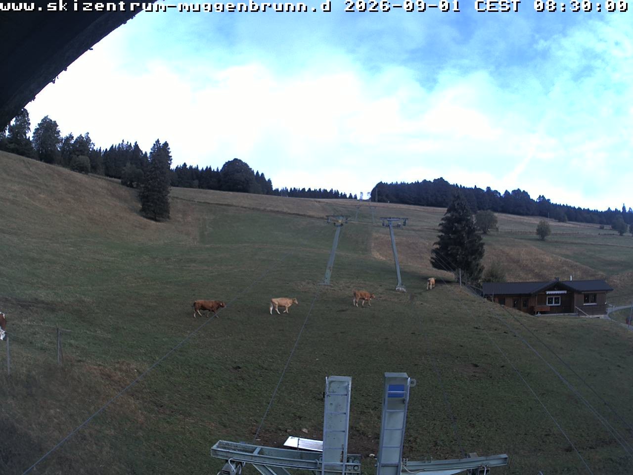 Archived image Webcam at Winkellift Muggenbrunn