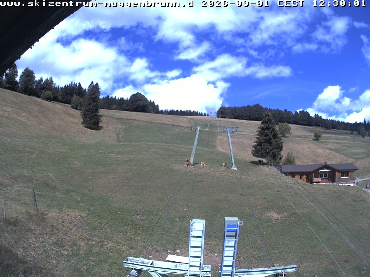 Archived image Webcam at Winkellift Muggenbrunn