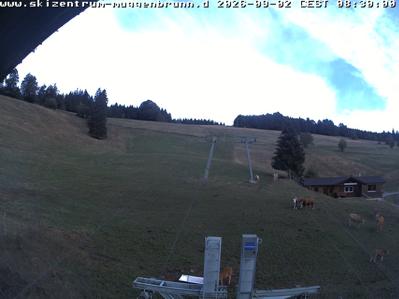 Archiv Foto Webcam am Winkellift Muggenbrunn