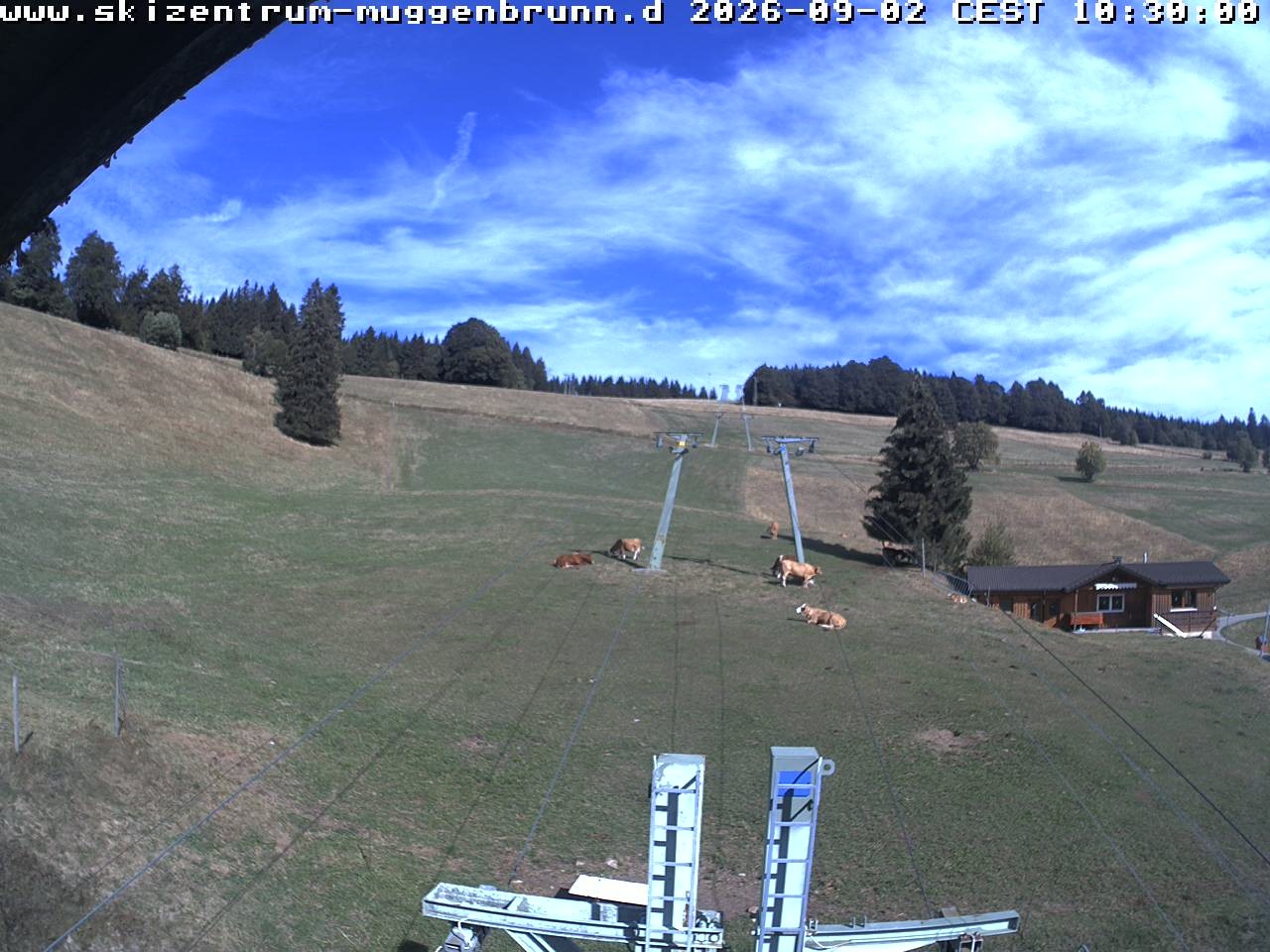 Archiv Foto Webcam am Winkellift Muggenbrunn