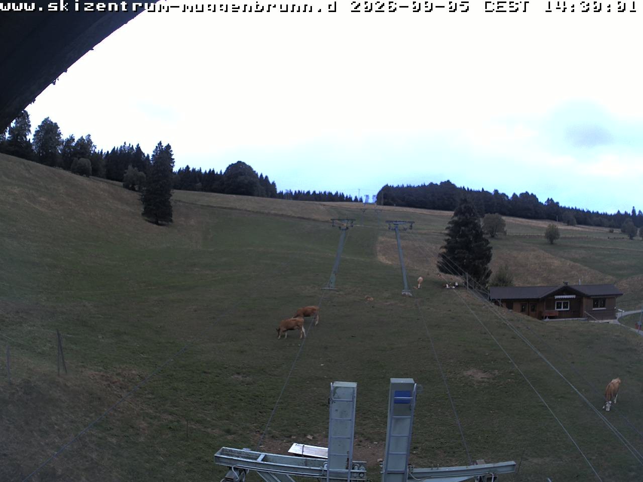 Archived image Webcam at Winkellift Muggenbrunn