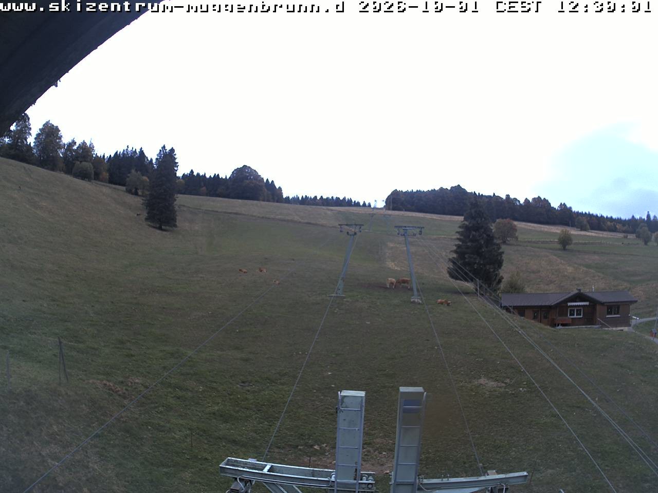 Archiv Foto Webcam am Winkellift Muggenbrunn